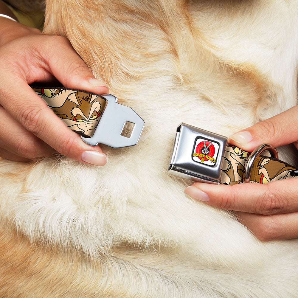 Looney Tunes Logo Full Color White Seatbelt Buckle Collar - Wile E. Coyote Expressions Stacked