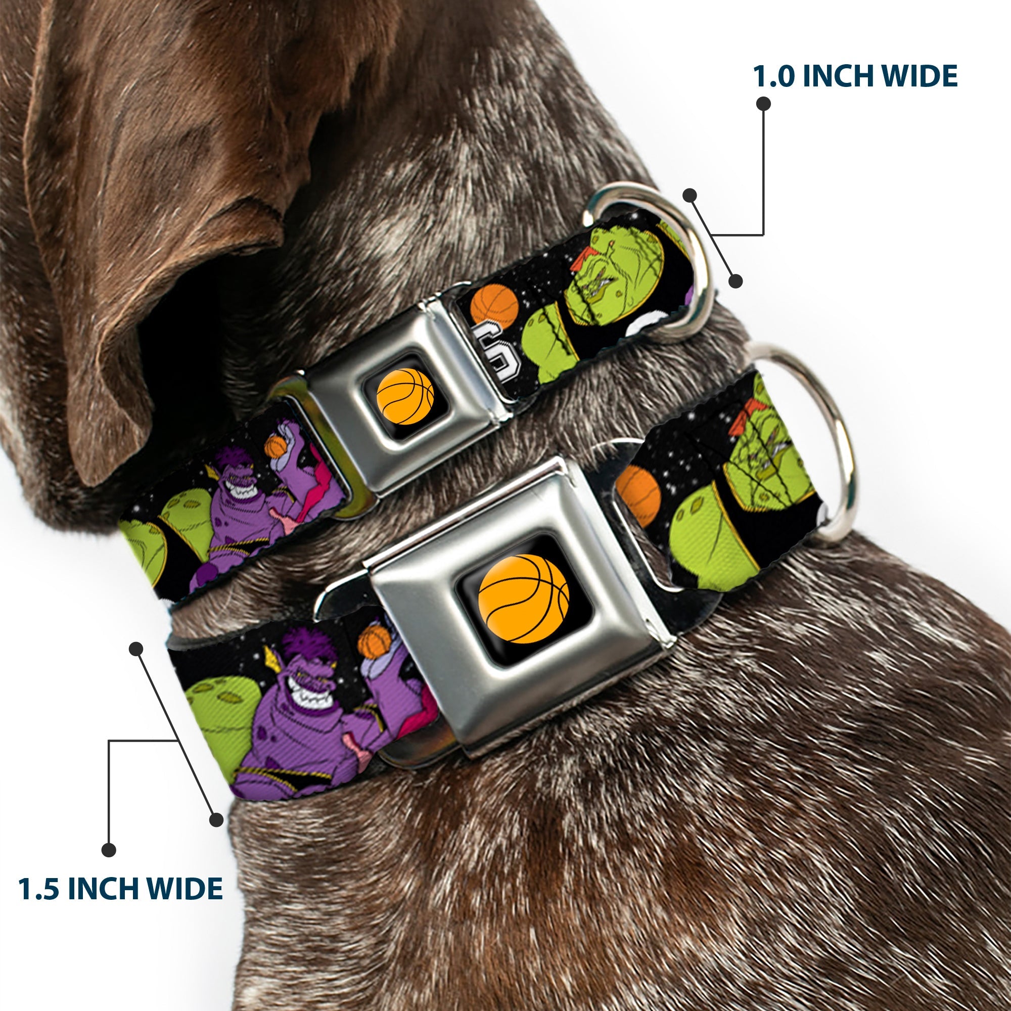 Looney Tunes Basketball Full Color Black Seatbelt Buckle Collar - Space Jam MONSTARS 5-Player Group Pose/Basketballs Galaxy Black/White