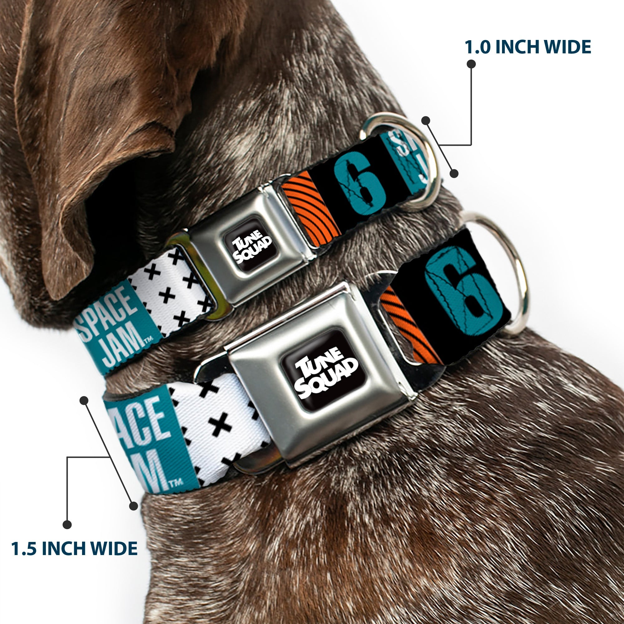 Space Jam 2 TUNE SQUAD Logo Full Color Black/White Seatbelt Buckle Collar - SPACE JAM Number 6 Blocks Black/Turquoise/White/Red