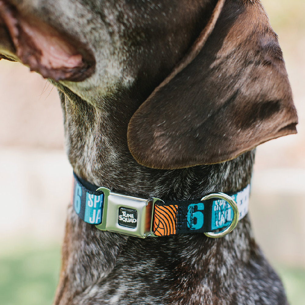 Space Jam 2 TUNE SQUAD Logo Full Color Black/White Seatbelt Buckle Collar - SPACE JAM Number 6 Blocks Black/Turquoise/White/Red
