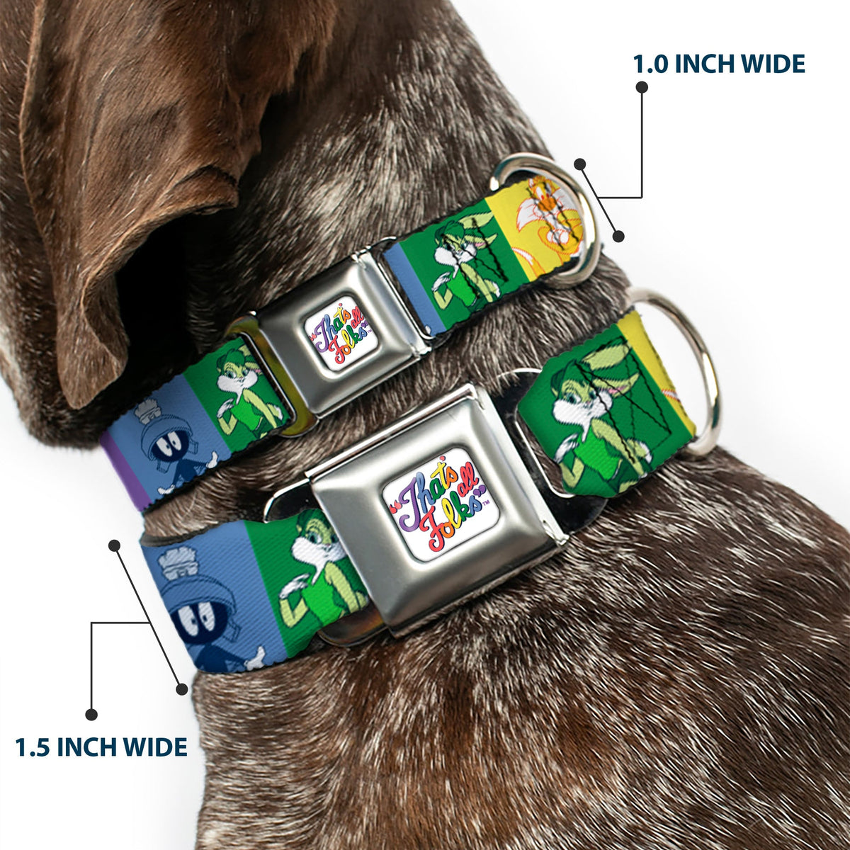 Looney Tunes THATS ALL FOLKS Script Full Color White/Multi Color Seatbelt Buckle Collar - Looney Tunes 6-Character Pose Pride Blocks Multi Color