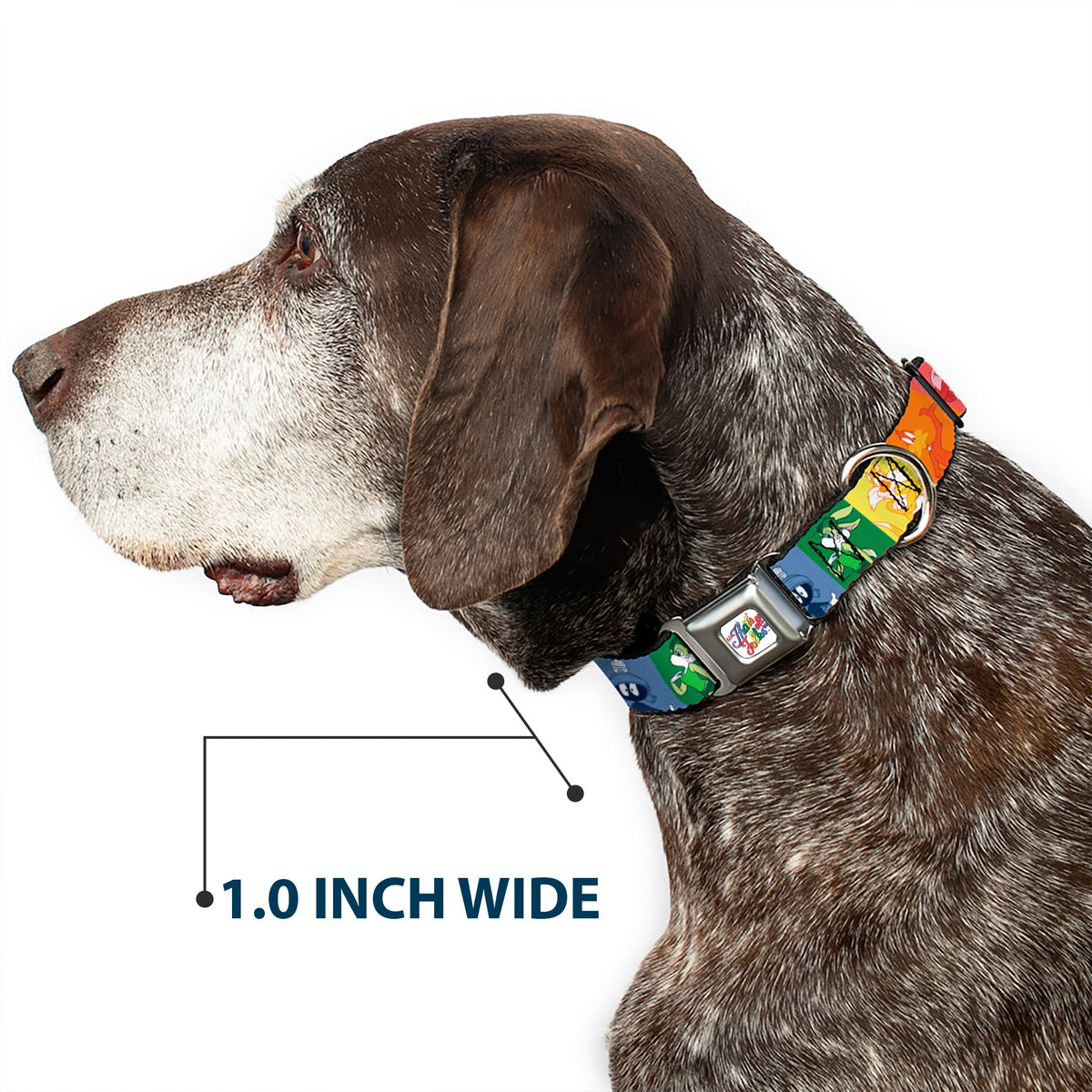 Looney Tunes THATS ALL FOLKS Script Full Color White/Multi Color Seatbelt Buckle Collar - Looney Tunes 6-Character Pose Pride Blocks Multi Color