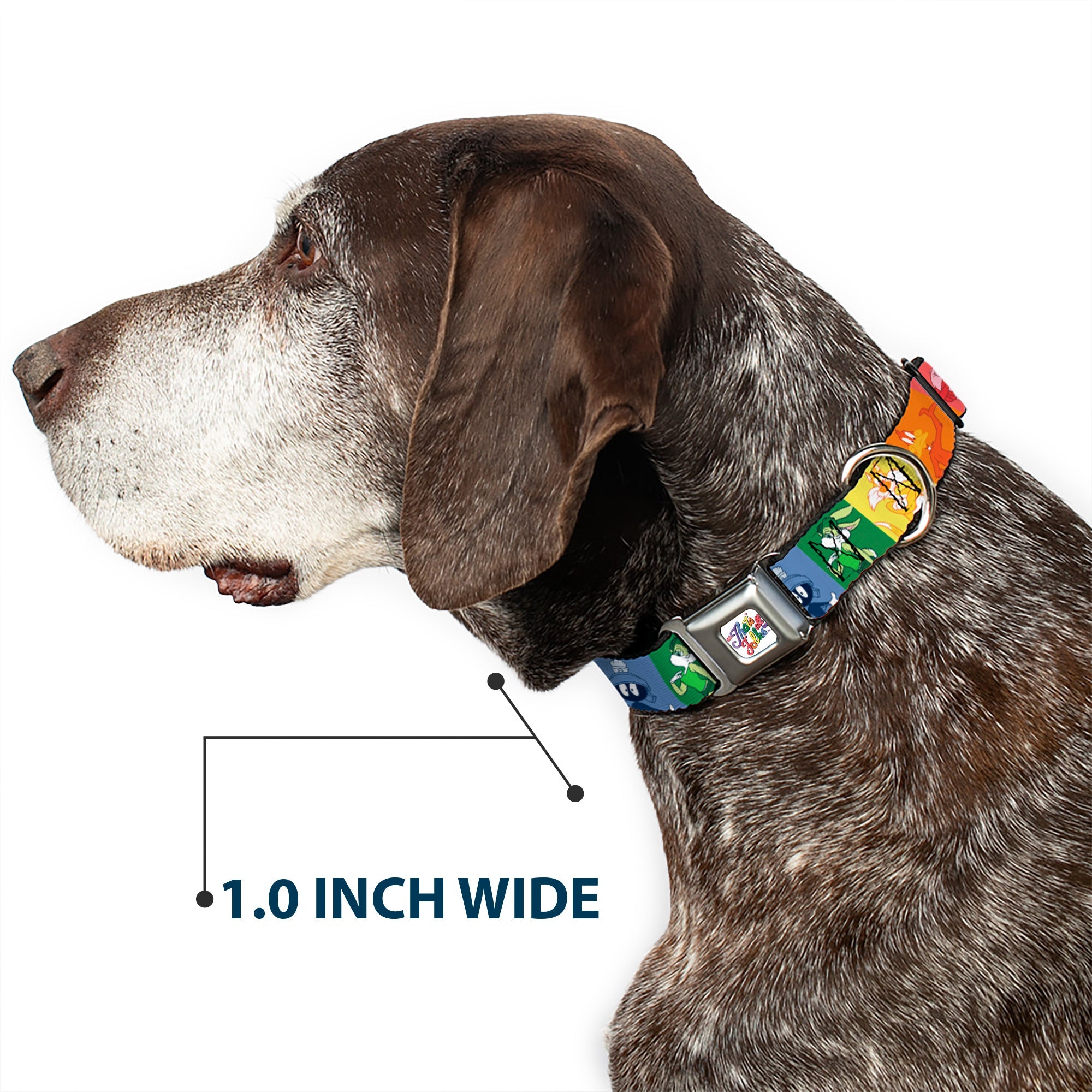 Looney Tunes THAT'S ALL FOLKS Script Full Color White/Multi Color Seatbelt Buckle Collar - Looney Tunes 6-Character Pose Pride Blocks Multi Color
