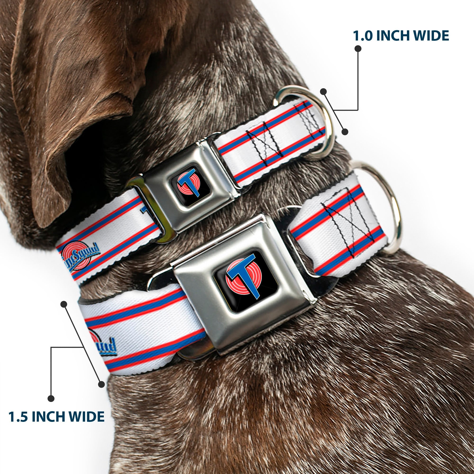Space Jam Tune Squad Icon Full Color Black/Red/Blue Seatbelt Buckle Collar - Space Jam TUNE SQUAD Logo Stripe White/Red/Blue