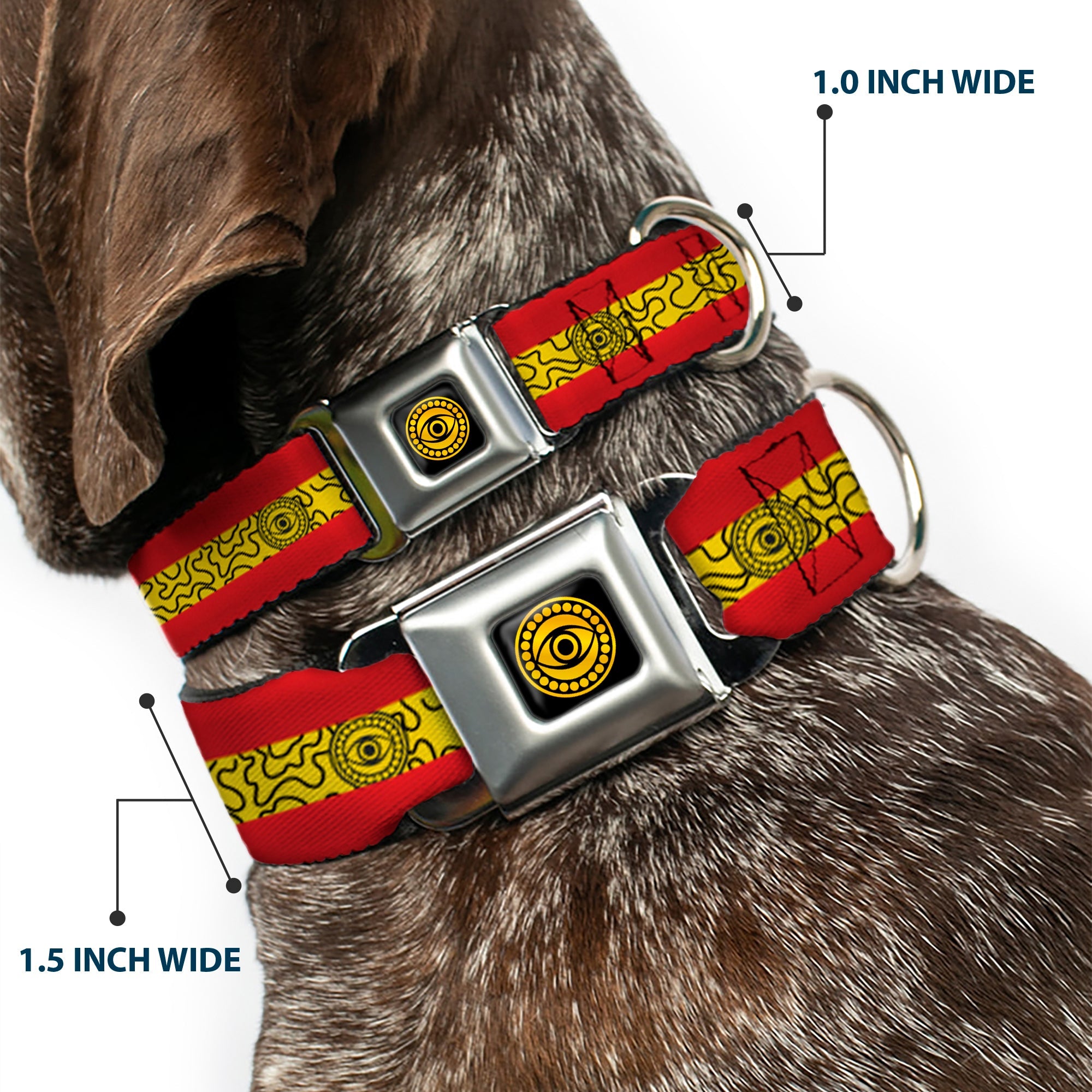 Doctor Strange Eye of Agamotto Full Color Black/Gold Seatbelt Buckle Collar - Doctor Strange Eye of Agamotto Stripe Red/Gold/Black