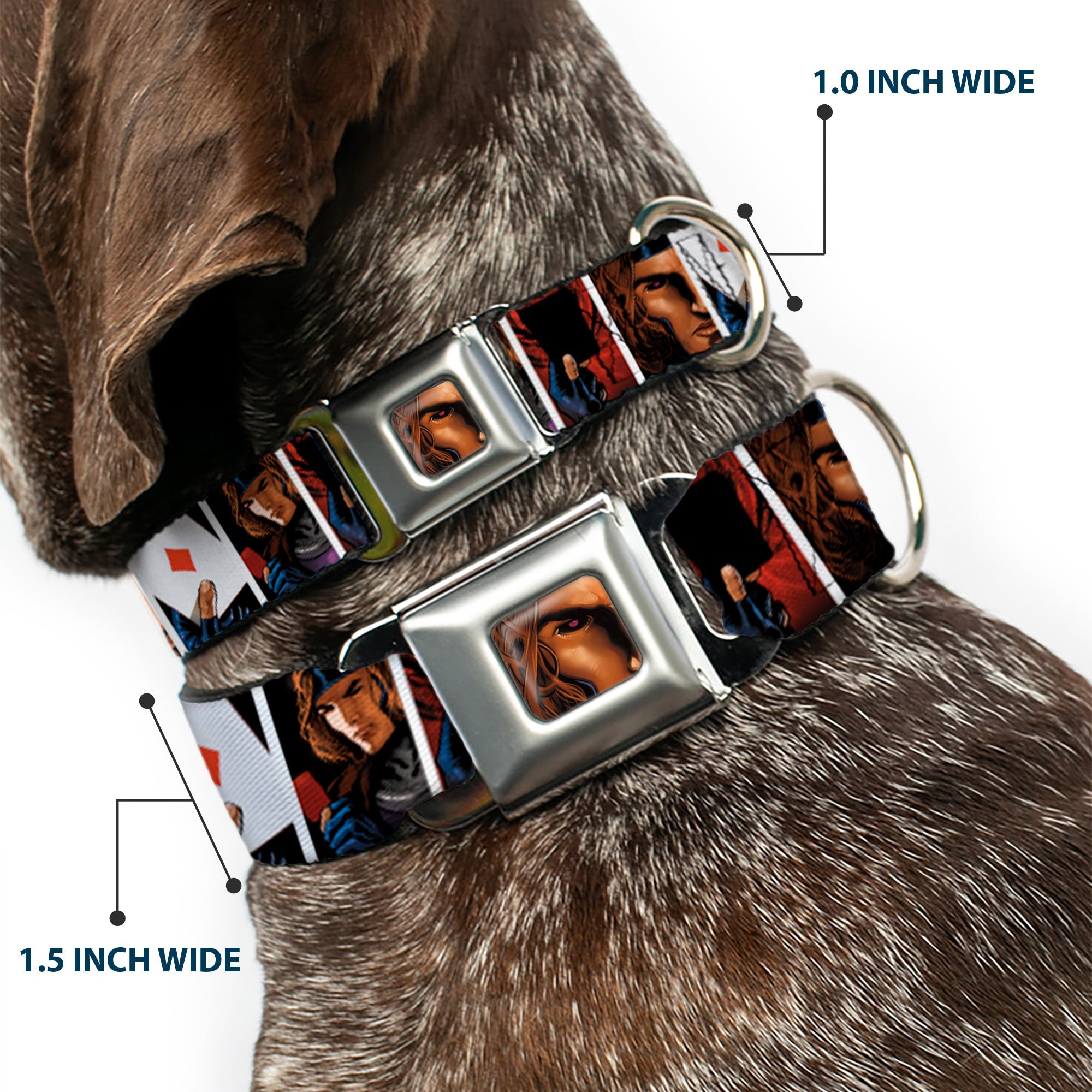 X-Men Gambit Face Close-Up Full Color Seatbelt Buckle Collar - X-Men Gambit Cards 4-Pose Blocks