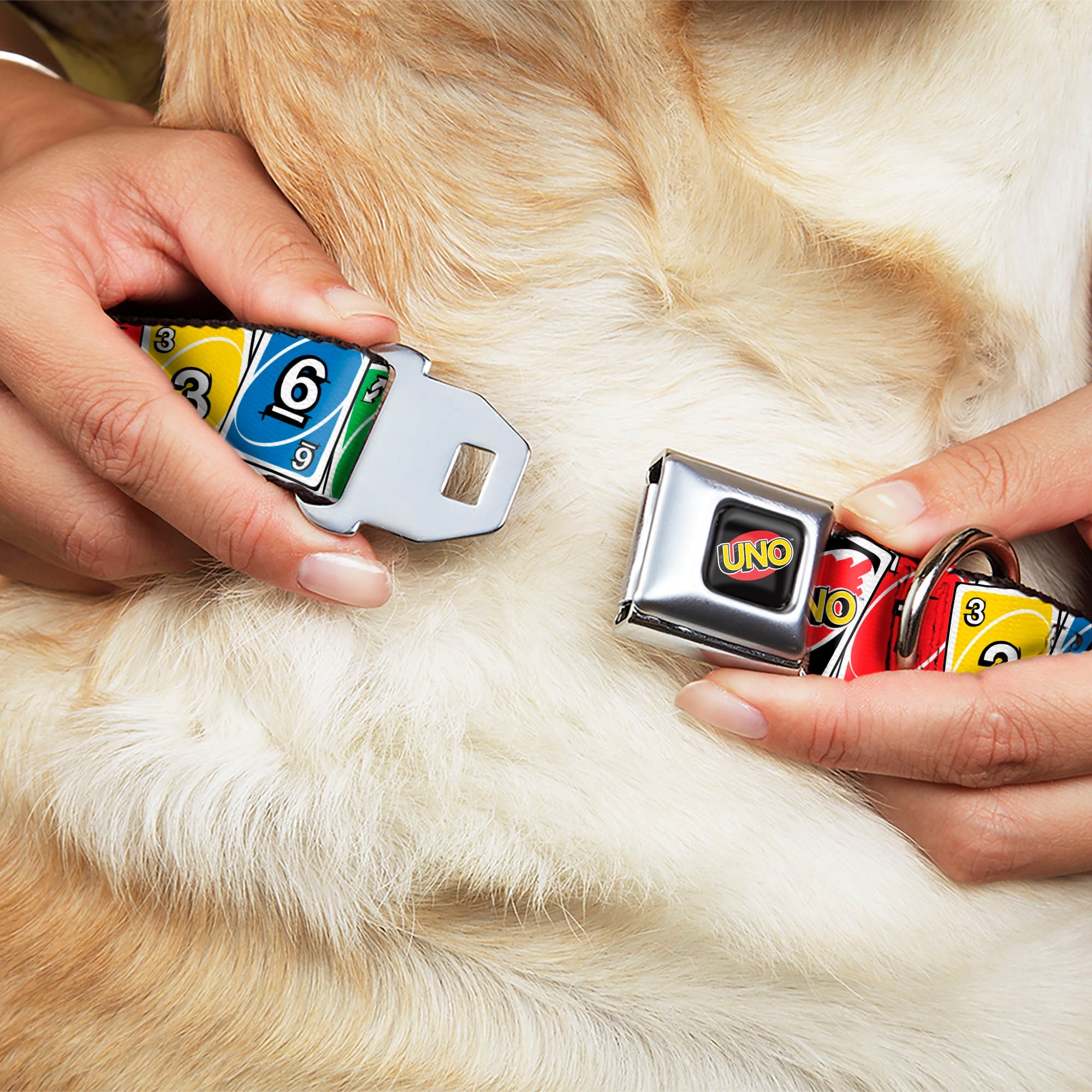 Buckle-Down Uno Game Logo Full Color Black/Red/Yellow Seatbelt Buckle Dog Collar - Uno Cards Lineup Stack Multicolor