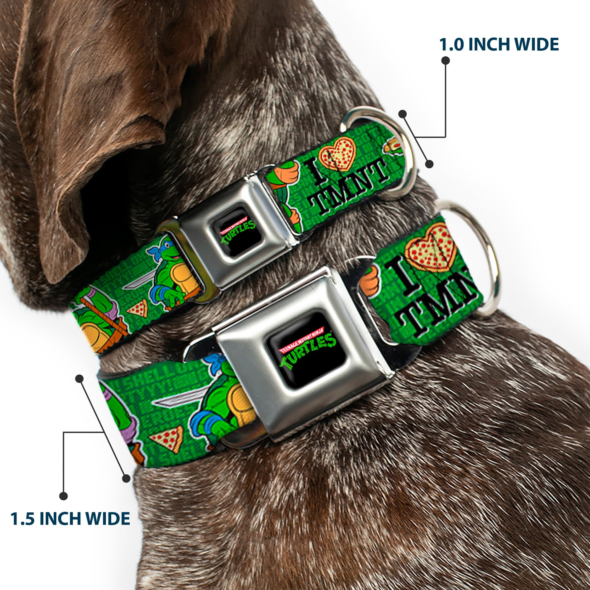 Classic TEENAGE MUTANT NINJA TURTLES Logo Seatbelt Buckle Collar - I "HEART" TMNT/Classic Turtles & Pizza Green