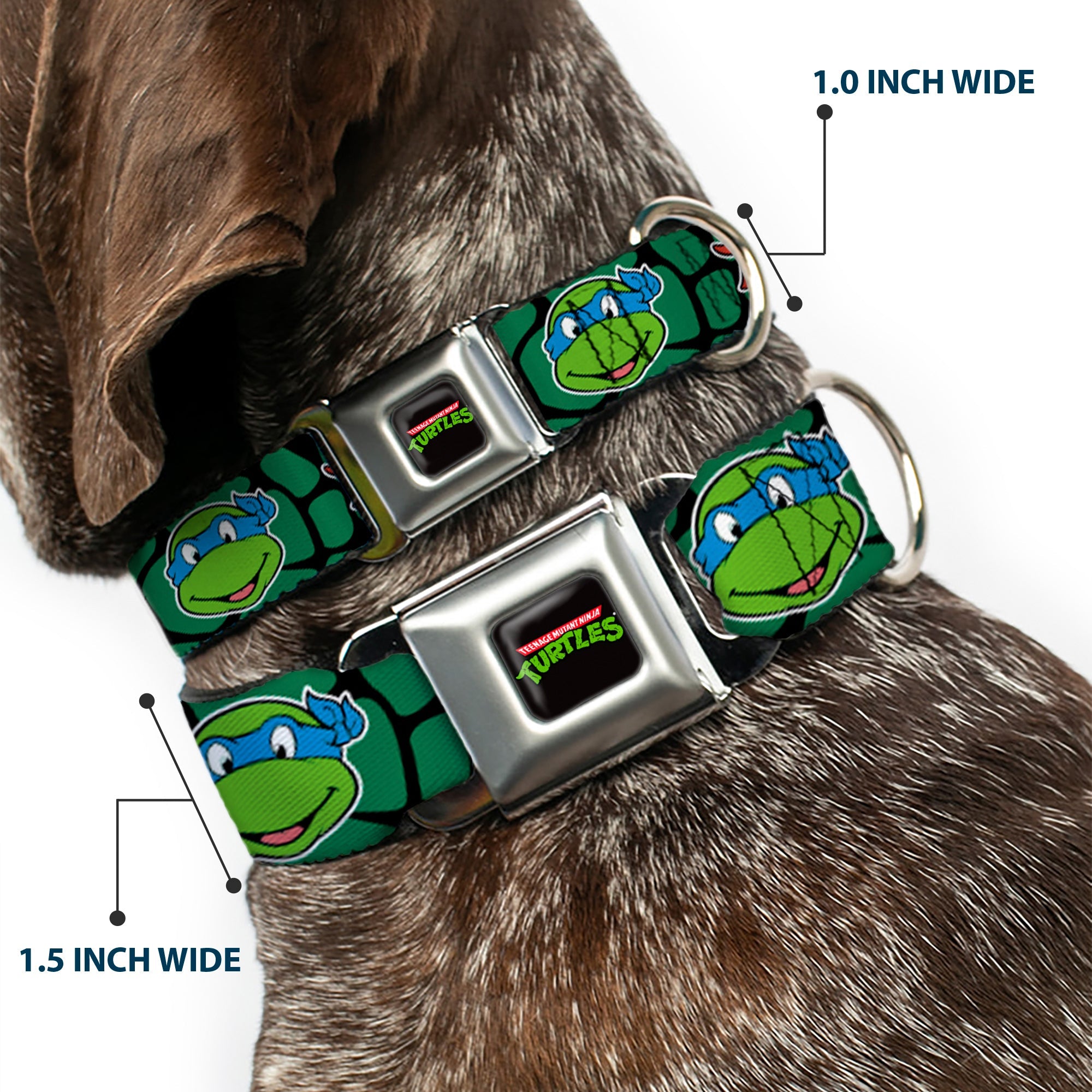Classic TEENAGE MUTANT NINJA TURTLES Logo Seatbelt Buckle Collar - Classic TEENAGE MUTANT NINJA TURTLES Turtle Faces Black/Green Turtle Shell