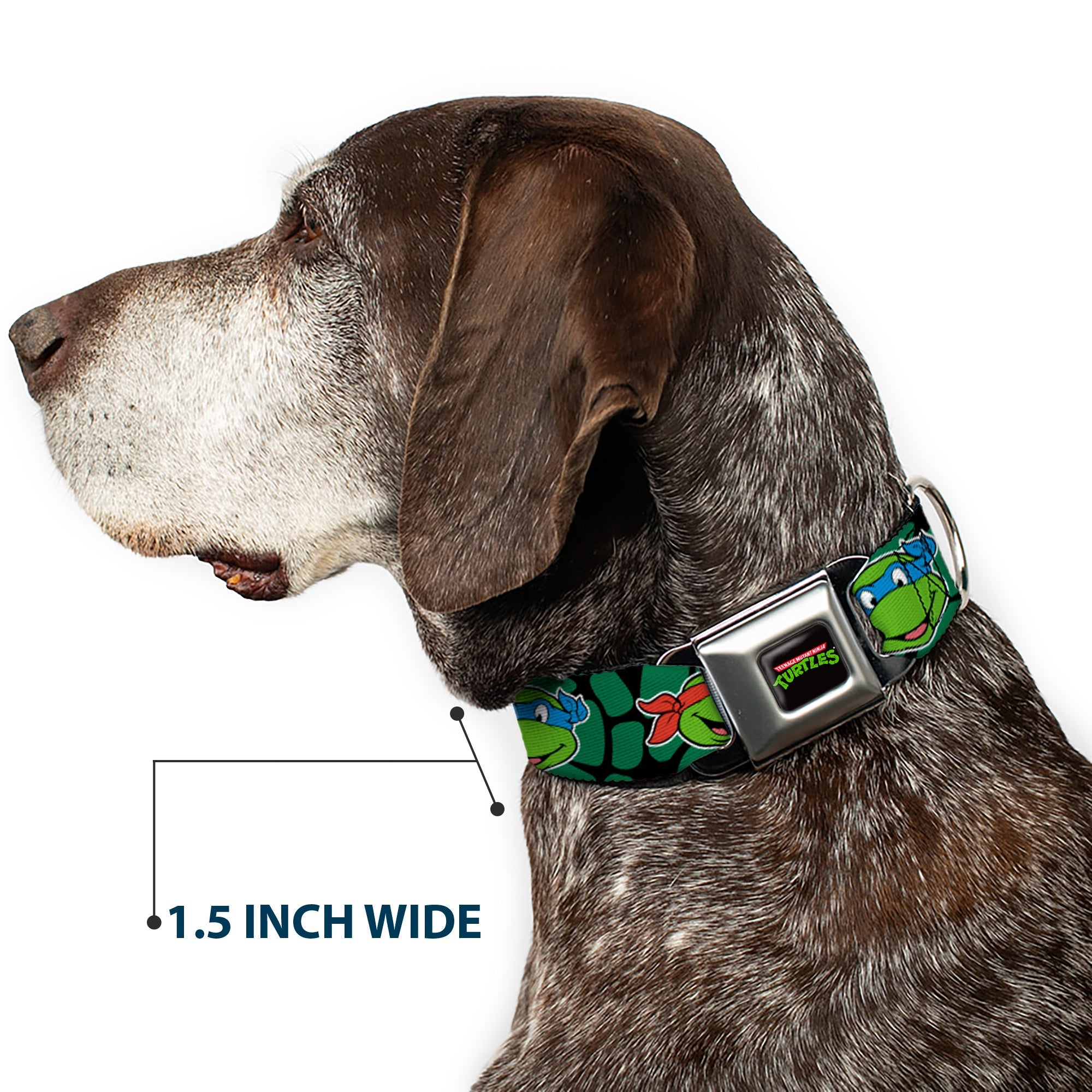 Classic TEENAGE MUTANT NINJA TURTLES Logo Seatbelt Buckle Collar - Classic TEENAGE MUTANT NINJA TURTLES Turtle Faces Black/Green Turtle Shell