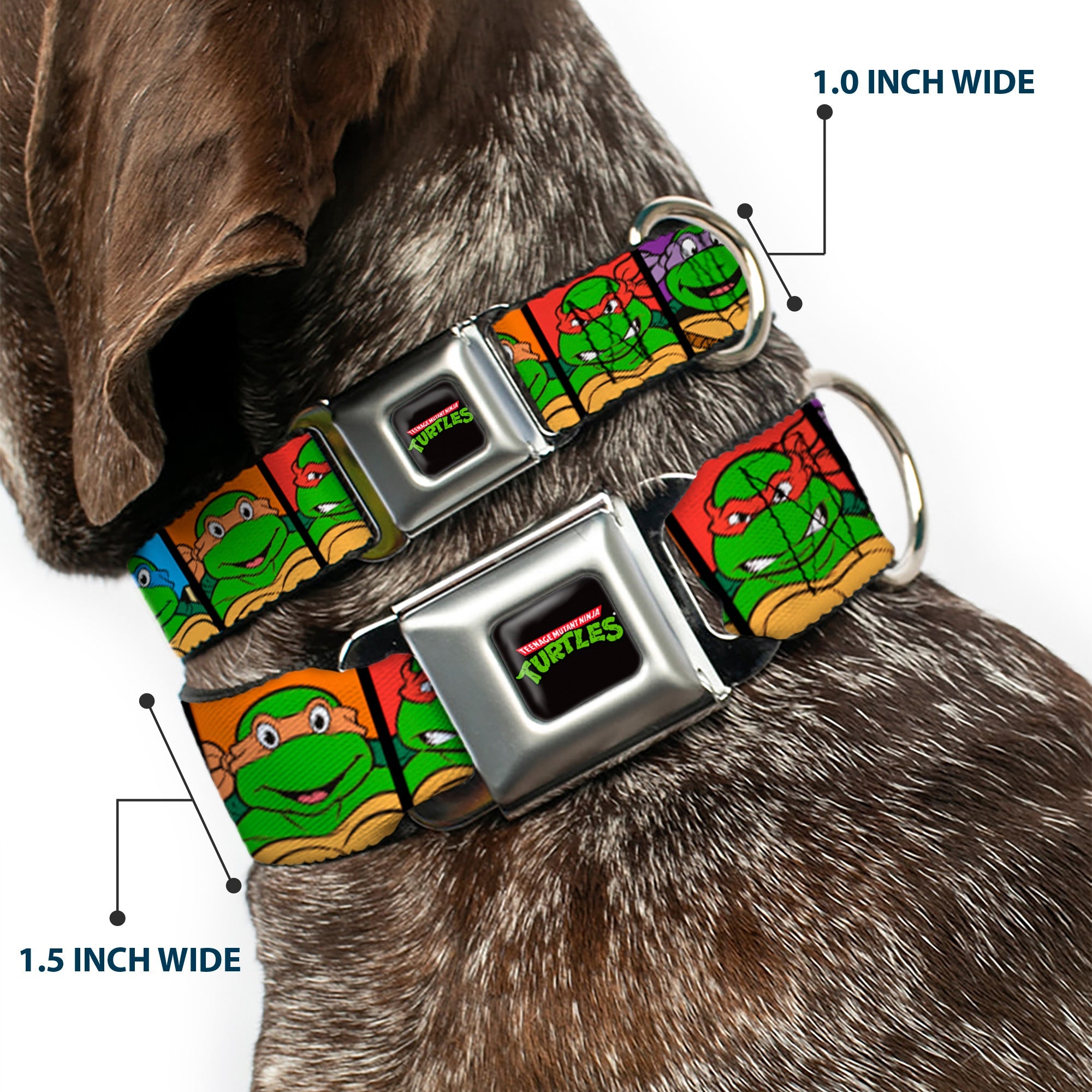 Classic TEENAGE MUTANT NINJA TURTLES Logo Seatbelt Buckle Collar - Classic Teenage Mutant Ninja Turtles Face Blocks Black/Multi Color
