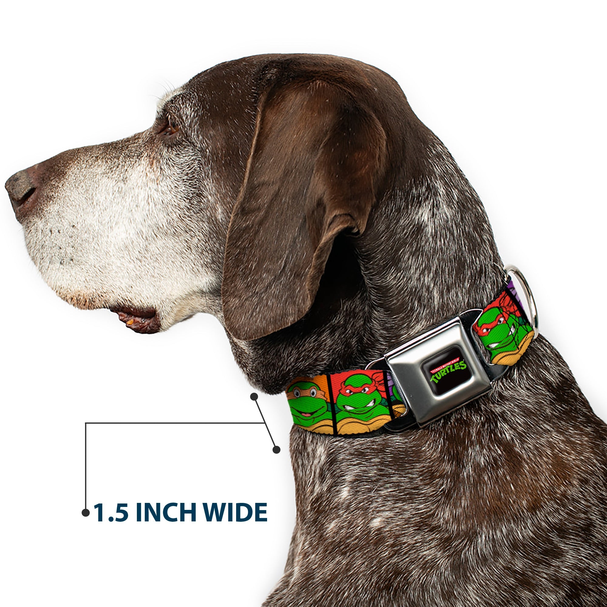 Classic TEENAGE MUTANT NINJA TURTLES Logo Seatbelt Buckle Collar - Classic Teenage Mutant Ninja Turtles Face Blocks Black/Multi Color