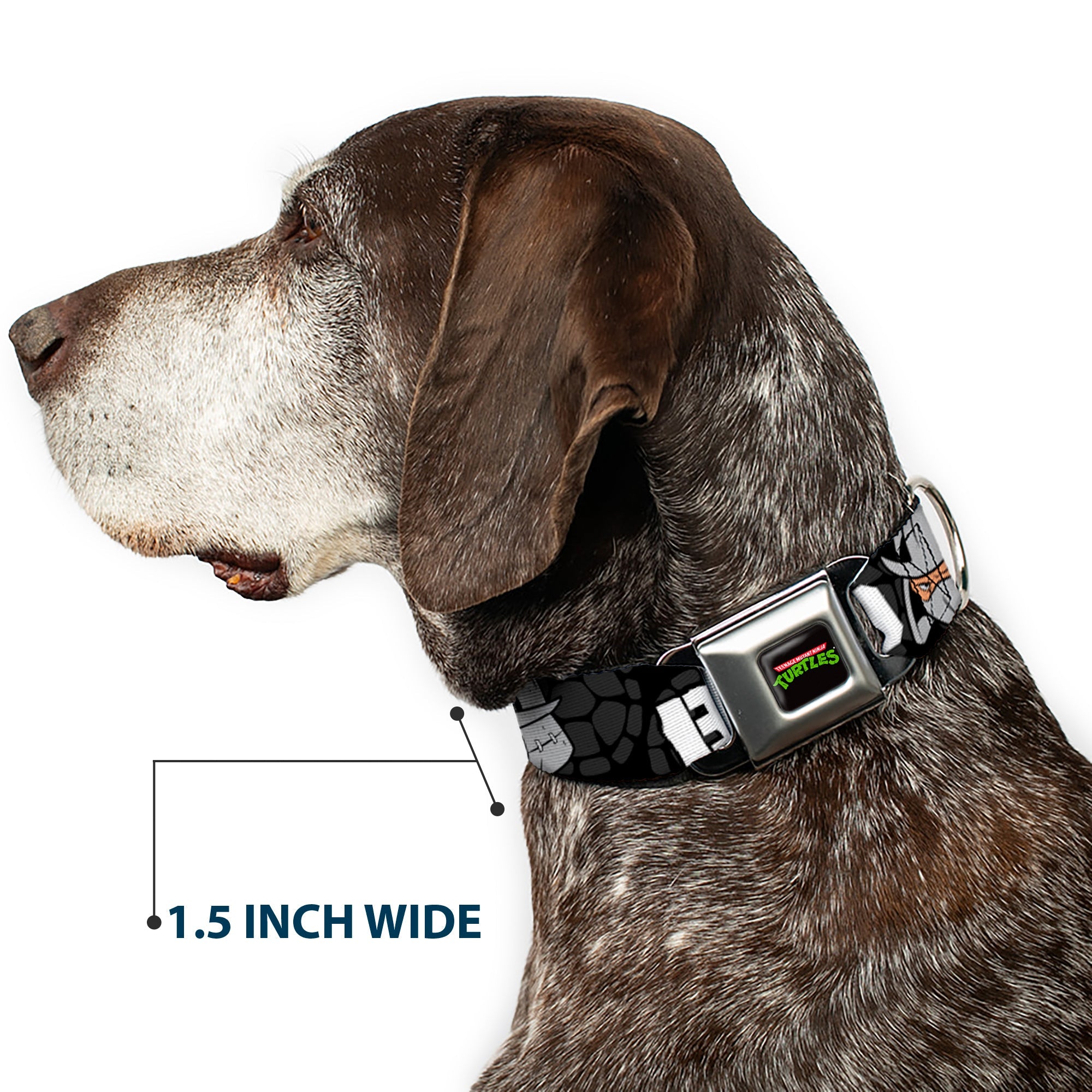 Classic TEENAGE MUTANT NINJA TURTLES Logo Seatbelt Buckle Collar - Shredder Poses BAD NEVER LOOKED THIS GOOD