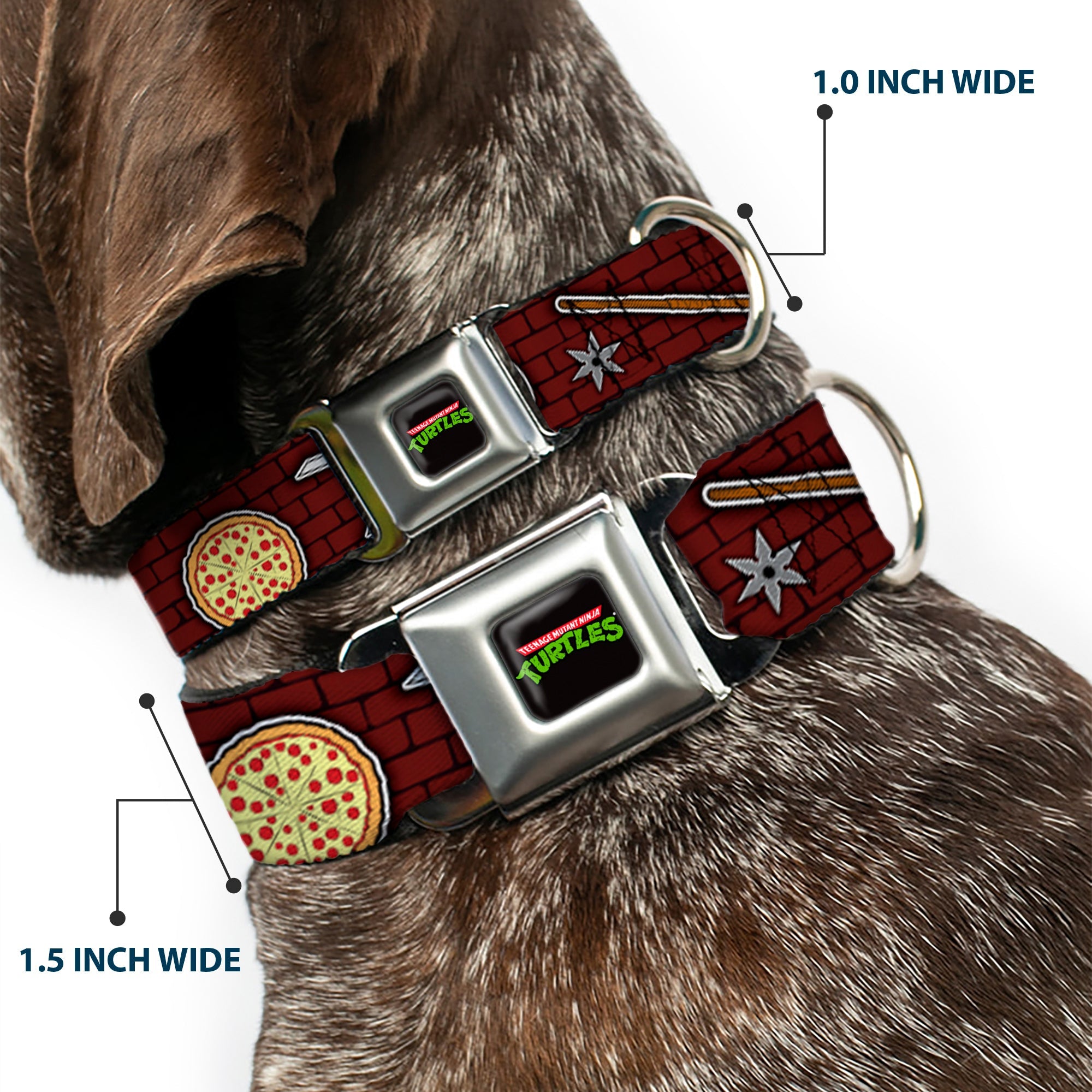 Classic TEENAGE MUTANT NINJA TURTLES Logo Seatbelt Buckle Collar - Classic TMNT Gear/Elements Brick Wall