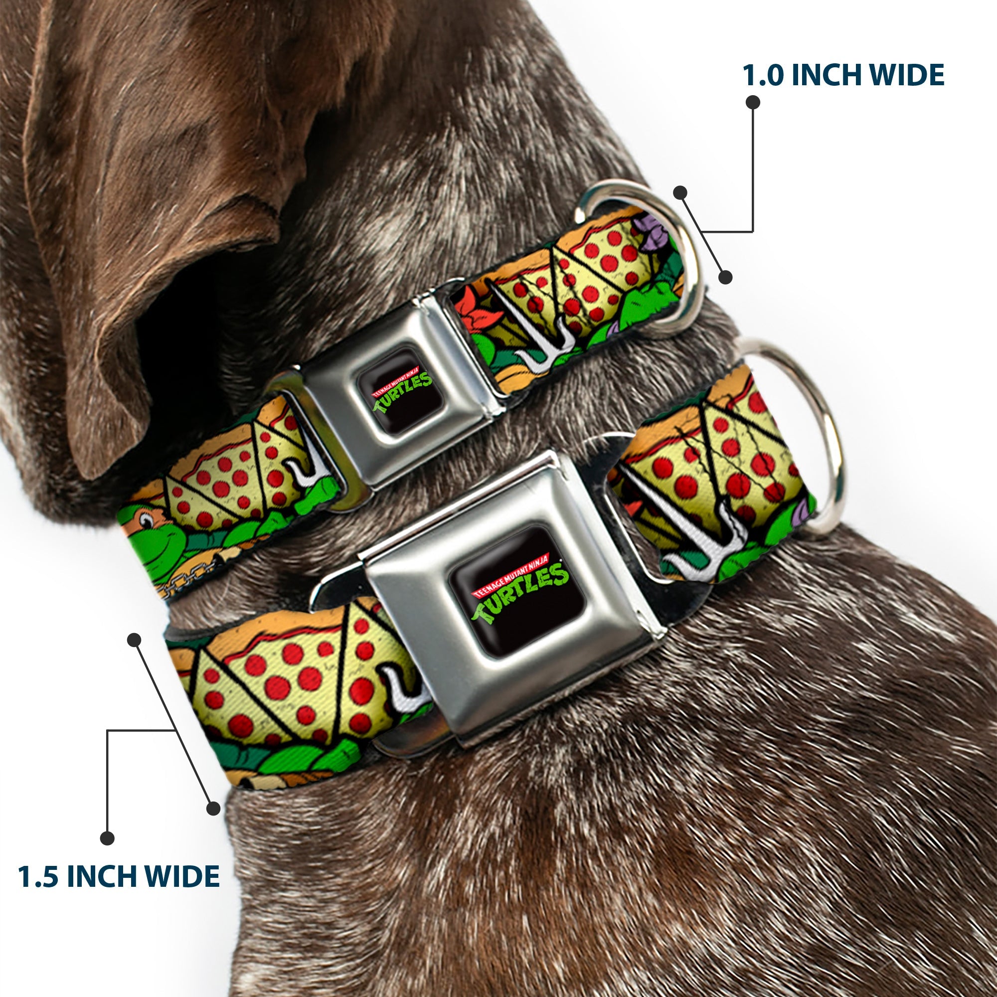 Classic TEENAGE MUTANT NINJA TURTLES Logo Seatbelt Buckle Collar - Classic Teenage Mutant Ninja Turtles Turtle Poses/Pizza Slices