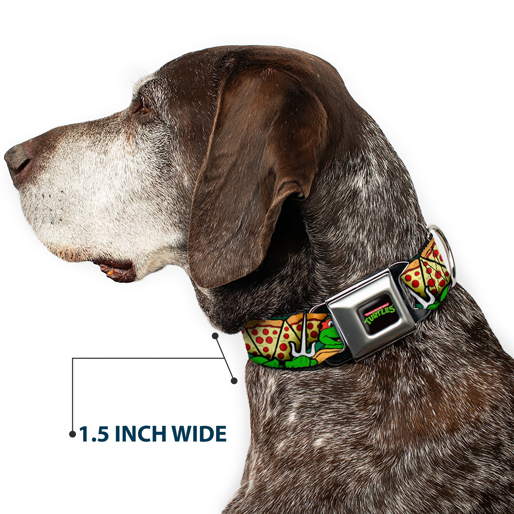 Classic TEENAGE MUTANT NINJA TURTLES Logo Seatbelt Buckle Collar - Classic Teenage Mutant Ninja Turtles Turtle Poses/Pizza Slices