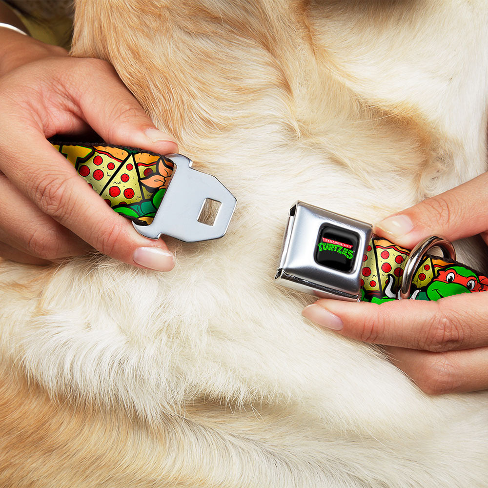 Classic TEENAGE MUTANT NINJA TURTLES Logo Seatbelt Buckle Collar - Classic Teenage Mutant Ninja Turtles Turtle Poses/Pizza Slices