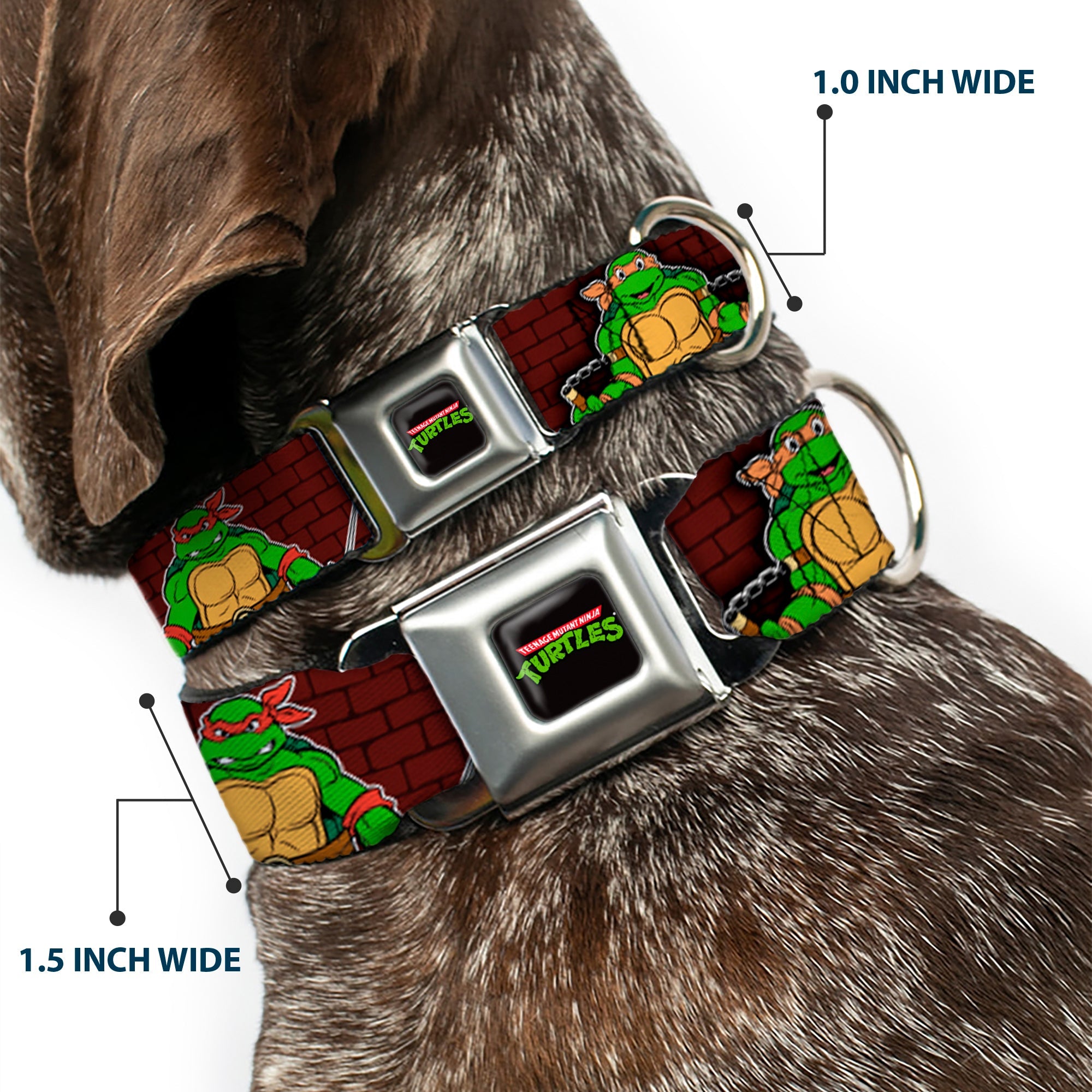 Classic TEENAGE MUTANT NINJA TURTLES Logo Seatbelt Buckle Collar - Classic TEENAGE MUTANT NINJA TURTLES Battle Poses/Group Pose7