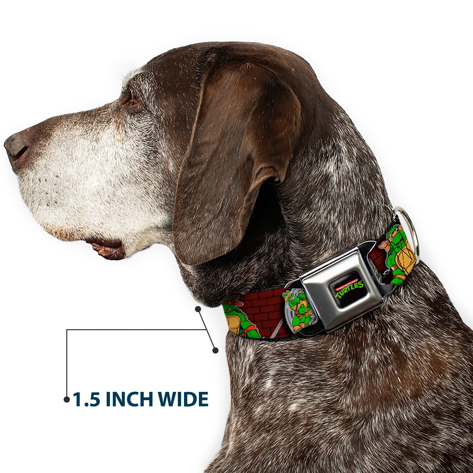 Classic TEENAGE MUTANT NINJA TURTLES Logo Seatbelt Buckle Collar - Classic TEENAGE MUTANT NINJA TURTLES Battle Poses/Group Pose7