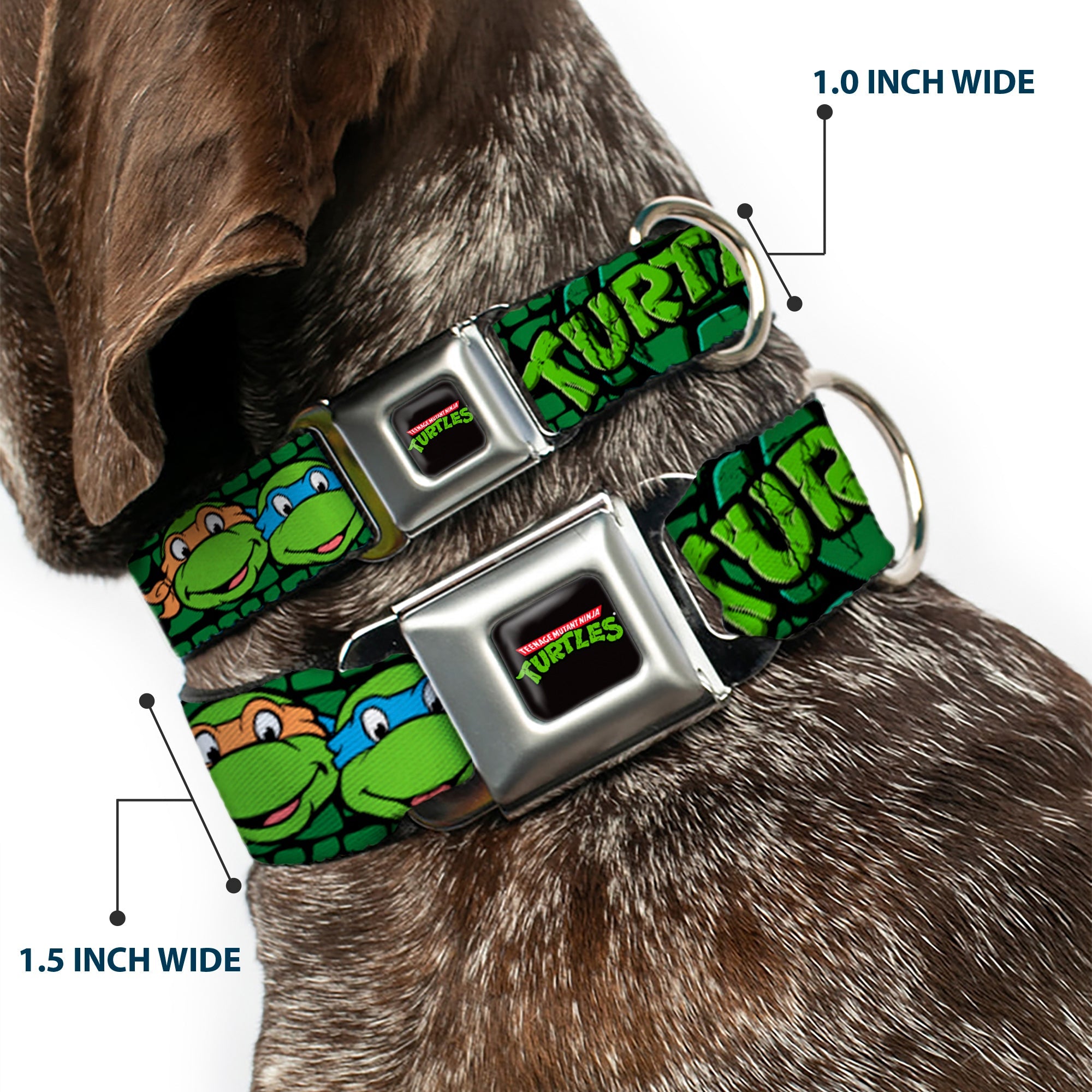 Classic TEENAGE MUTANT NINJA TURTLES Logo Seatbelt Buckle Collar - Classic Teenage Mutant Ninja Turtles Group Faces/TURTLES Turtle Shell Black/Green