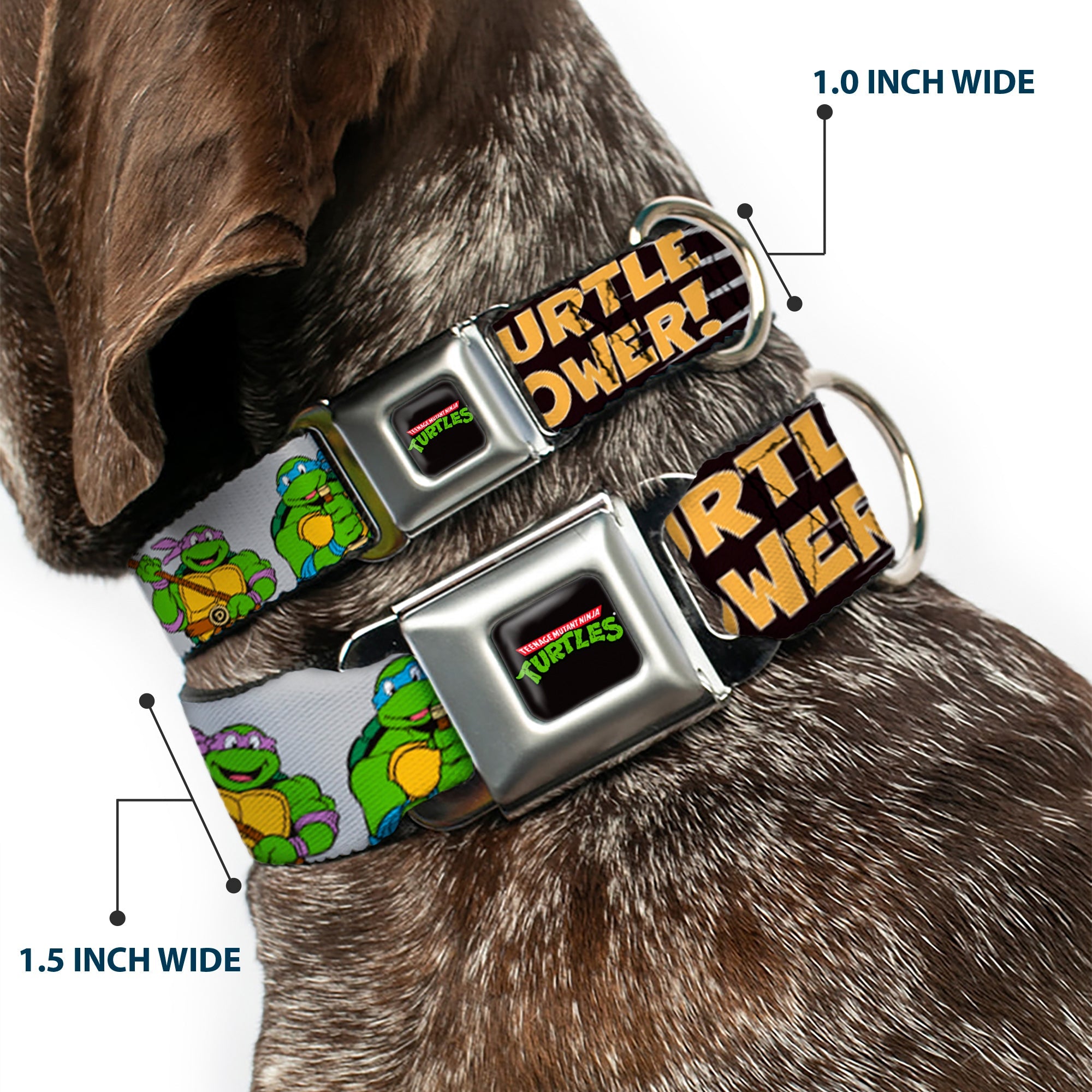 Classic TEENAGE MUTANT NINJA TURTLES Logo Seatbelt Buckle Collar - Classic Teenage Mutant Ninja Turtles Group Pose/TURTLE POWER!