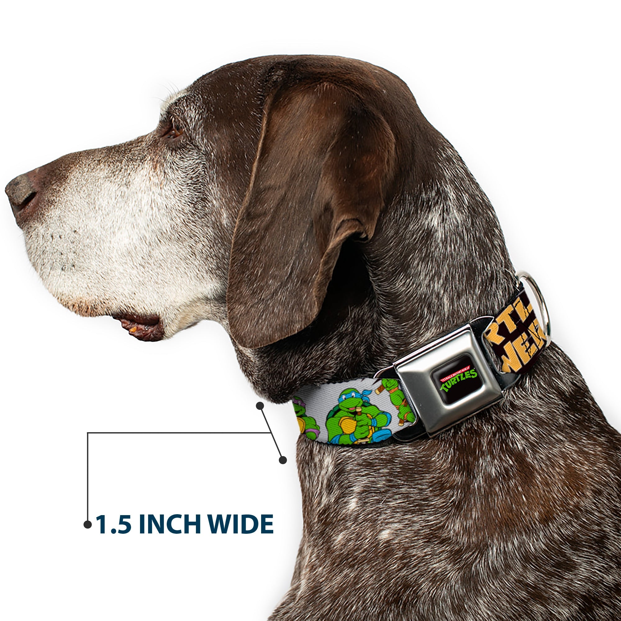 Classic TEENAGE MUTANT NINJA TURTLES Logo Seatbelt Buckle Collar - Classic Teenage Mutant Ninja Turtles Group Pose/TURTLE POWER!