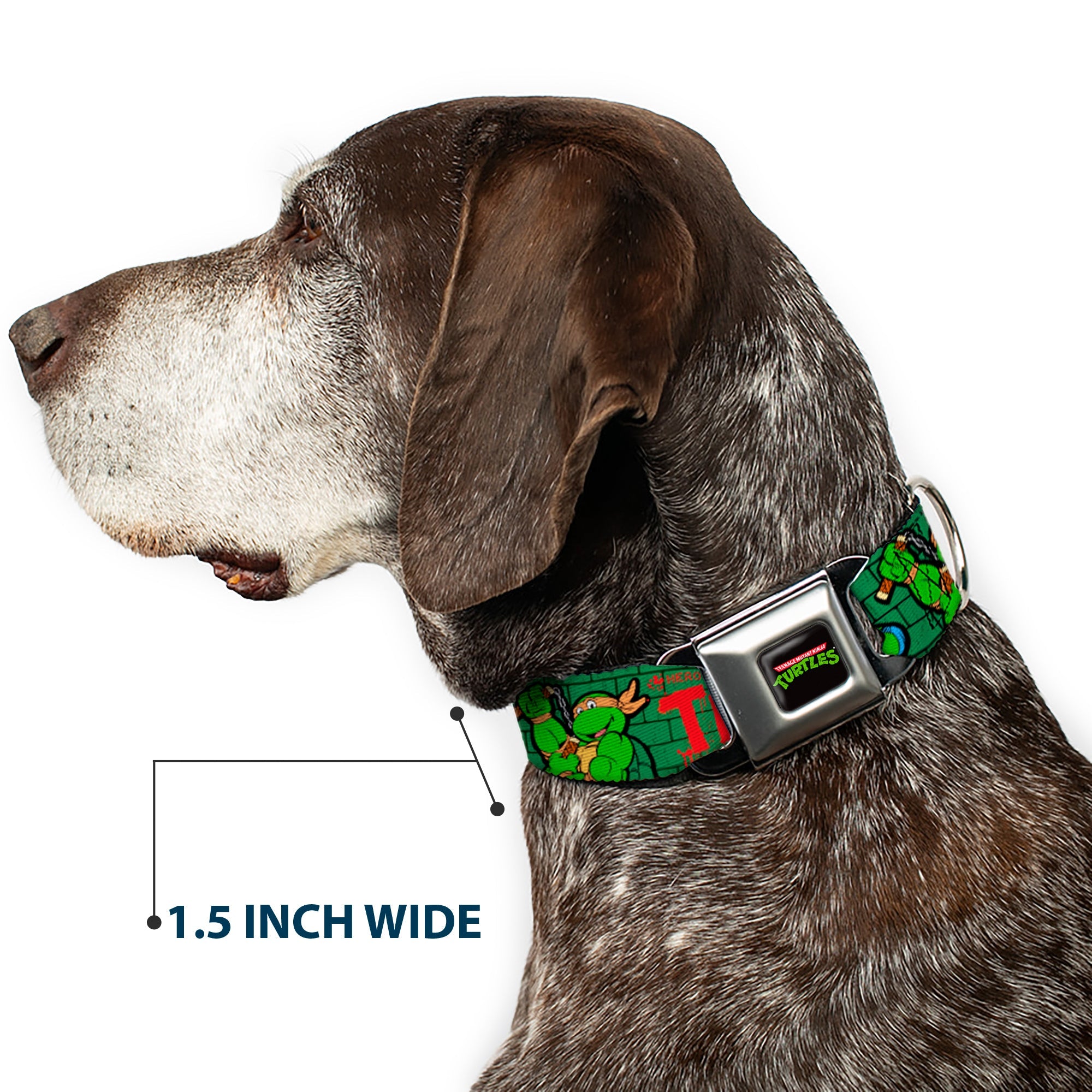Classic TEENAGE MUTANT NINJA TURTLES Logo Seatbelt Buckle Collar - Classic Teenage Mutant Ninja Turtles Group Pose2/TMNT Green Brick Wall