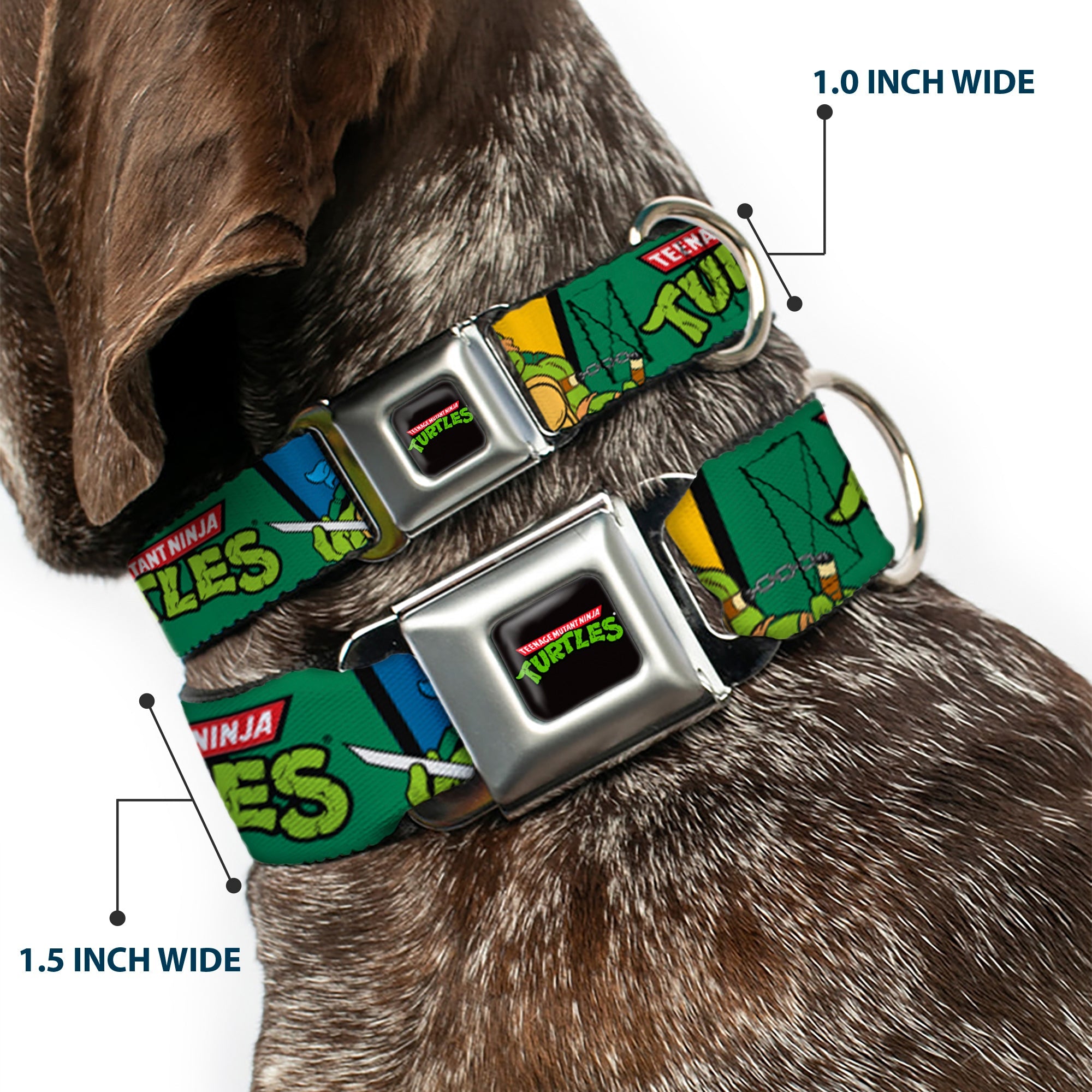 Classic TEENAGE MUTANT NINJA TURTLES Logo Seatbelt Buckle Collar - Classic TEENAGE MUTANT NINJA TURTLES Group Pose3/TMNT Logo Green/Multi Color