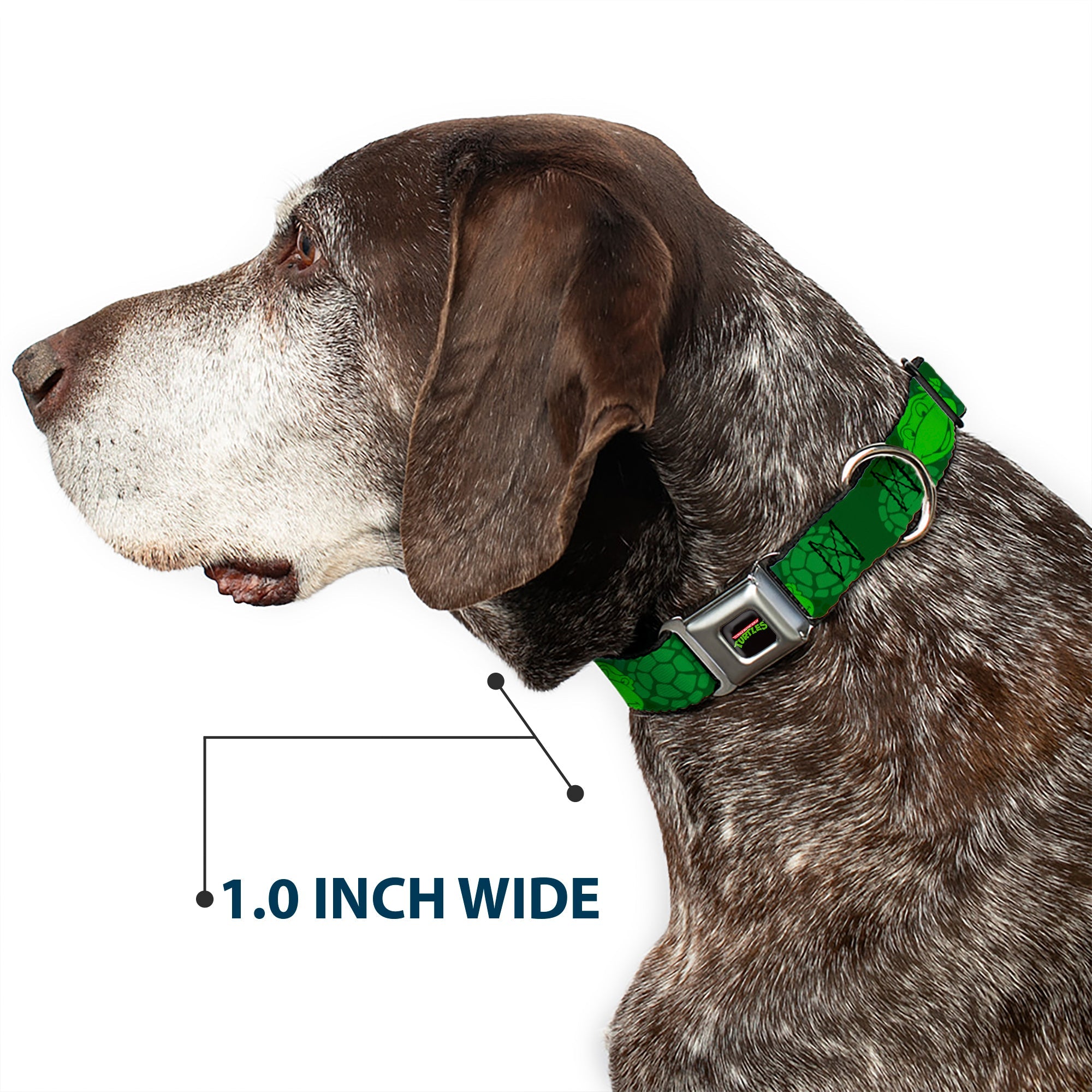Classic TEENAGE MUTANT NINJA TURTLES Logo Seatbelt Buckle Collar - Classic Teenage Mutant Ninja Turtles Turtle Faces2 Greens