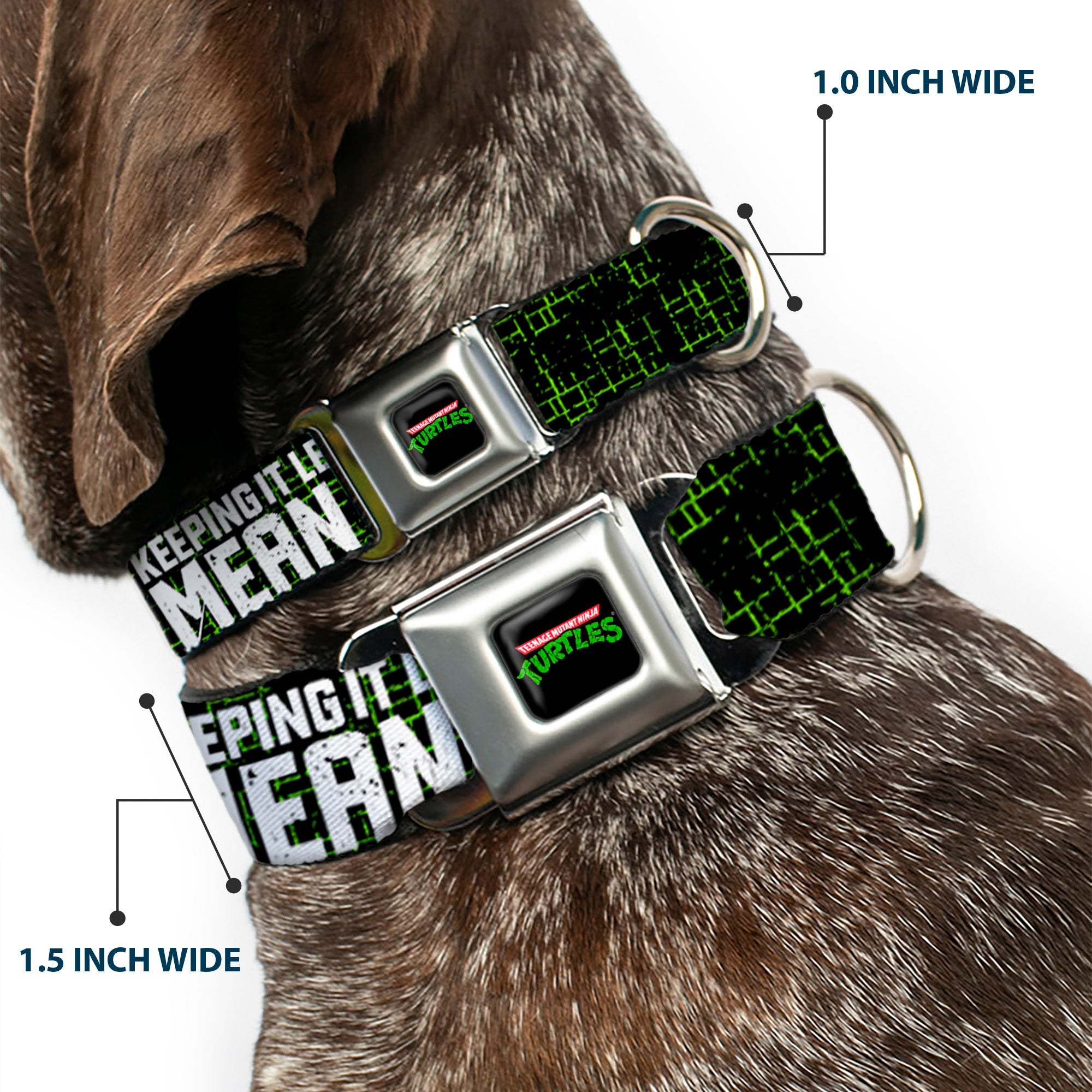 Classic TEENAGE MUTANT NINJA TURTLES Logo Seatbelt Buckle Collar - Classic TMNT Group Pose6/KEEPING IT LEAN, MEAN & GREEN Black/Green/White