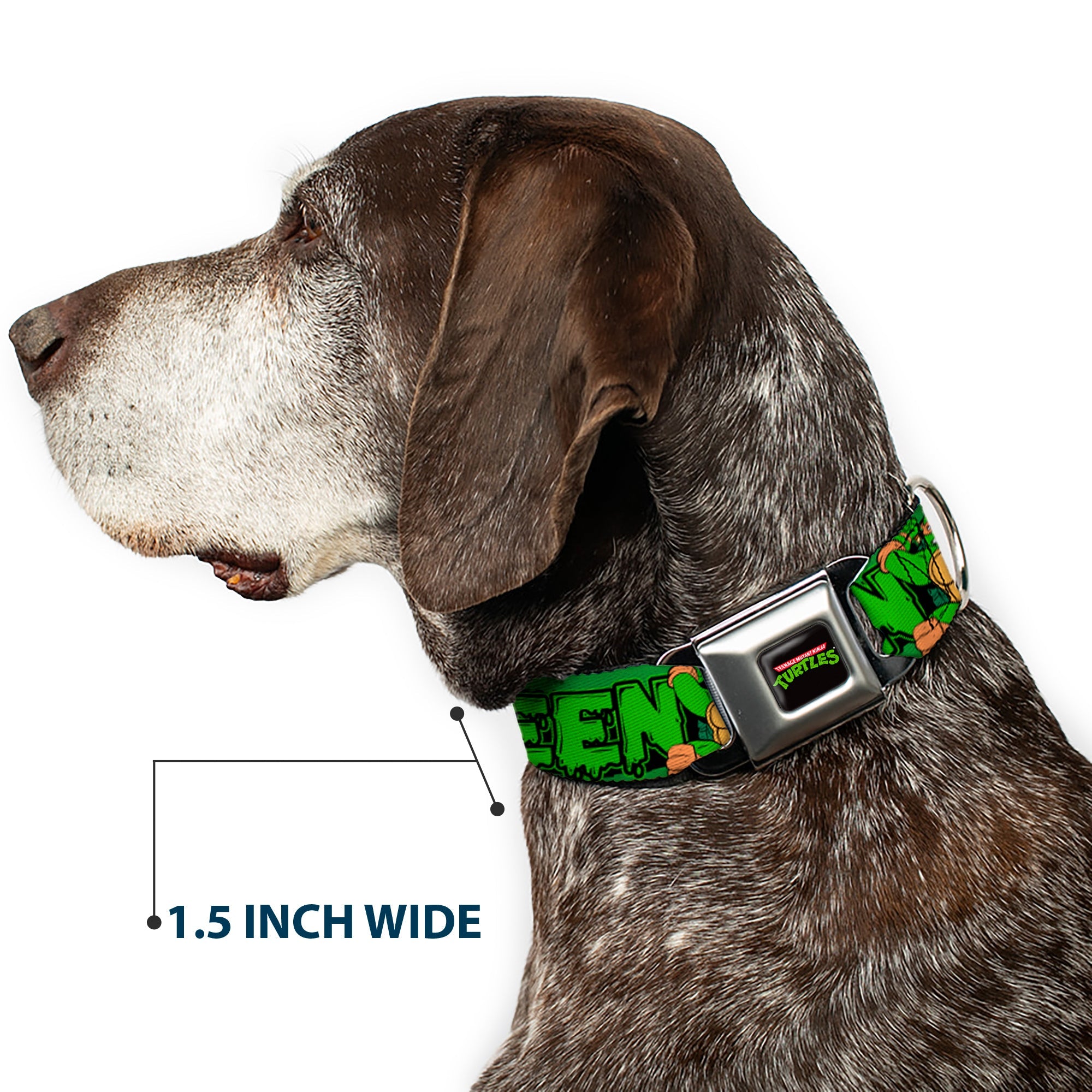 Classic TEENAGE MUTANT NINJA TURTLES Logo Seatbelt Buckle Collar - Classic TEENAGE MUTANT NINJA TURTLES Logo/Group Pose5/LEAN MEAN & GREEN