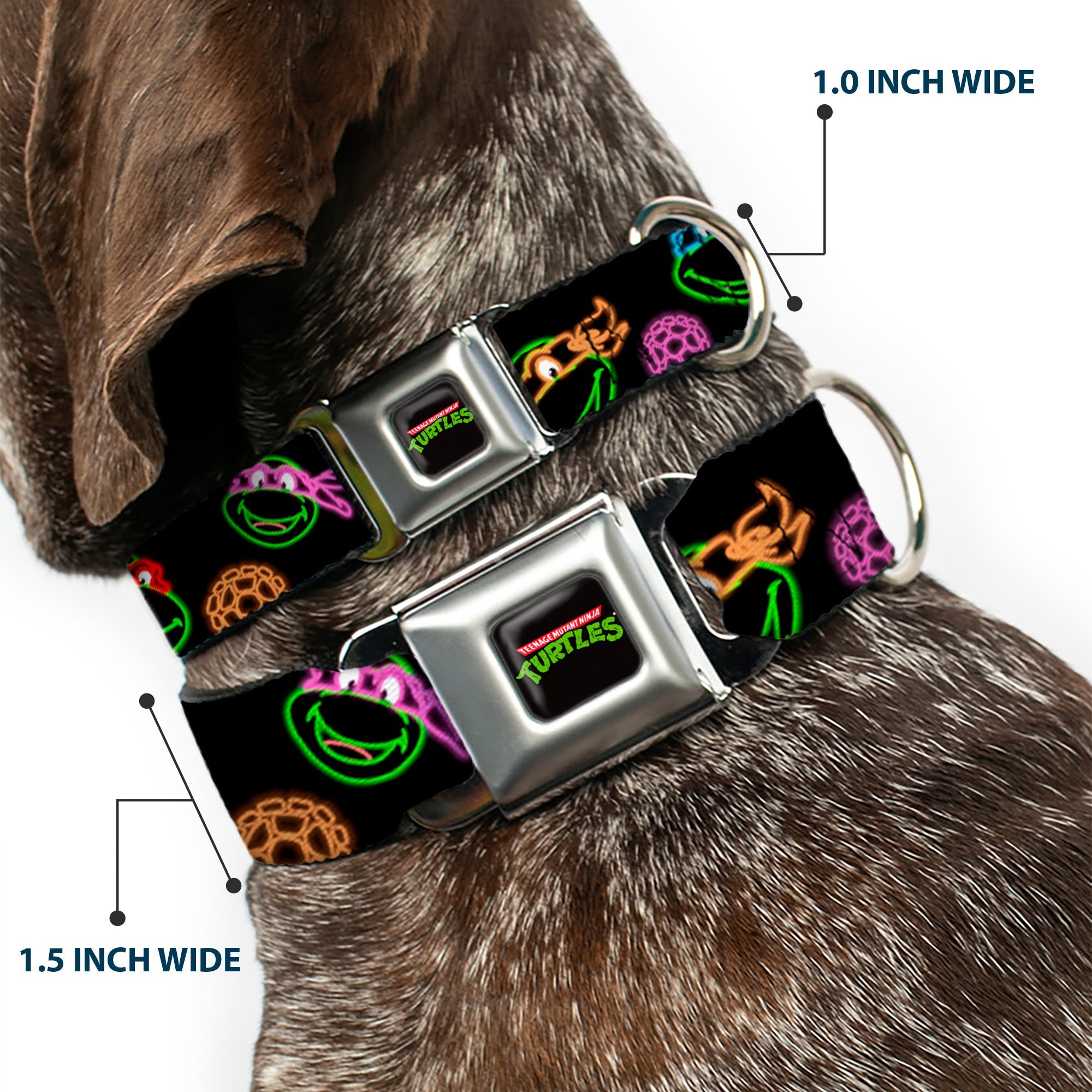 Classic TEENAGE MUTANT NINJA TURTLES Logo Seatbelt Buckle Collar - Classic Teenage Mutant Ninja Turtles Electric Expressions/Turtle Shells Black/Multi Neon