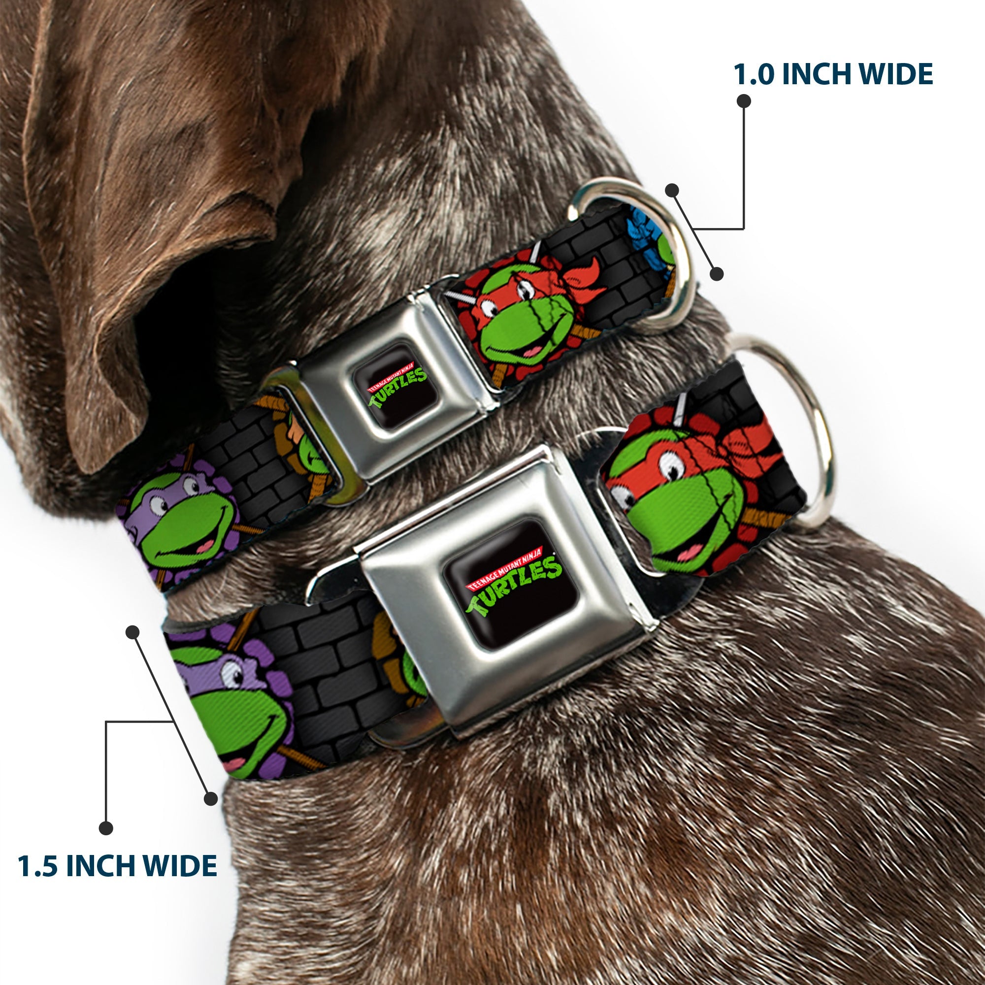 Classic TEENAGE MUTANT NINJA TURTLES Logo Seatbelt Buckle Collar - Classic Teenage Mutant Ninja Turtles Expessions/Battle Gear Gray/Multi Color