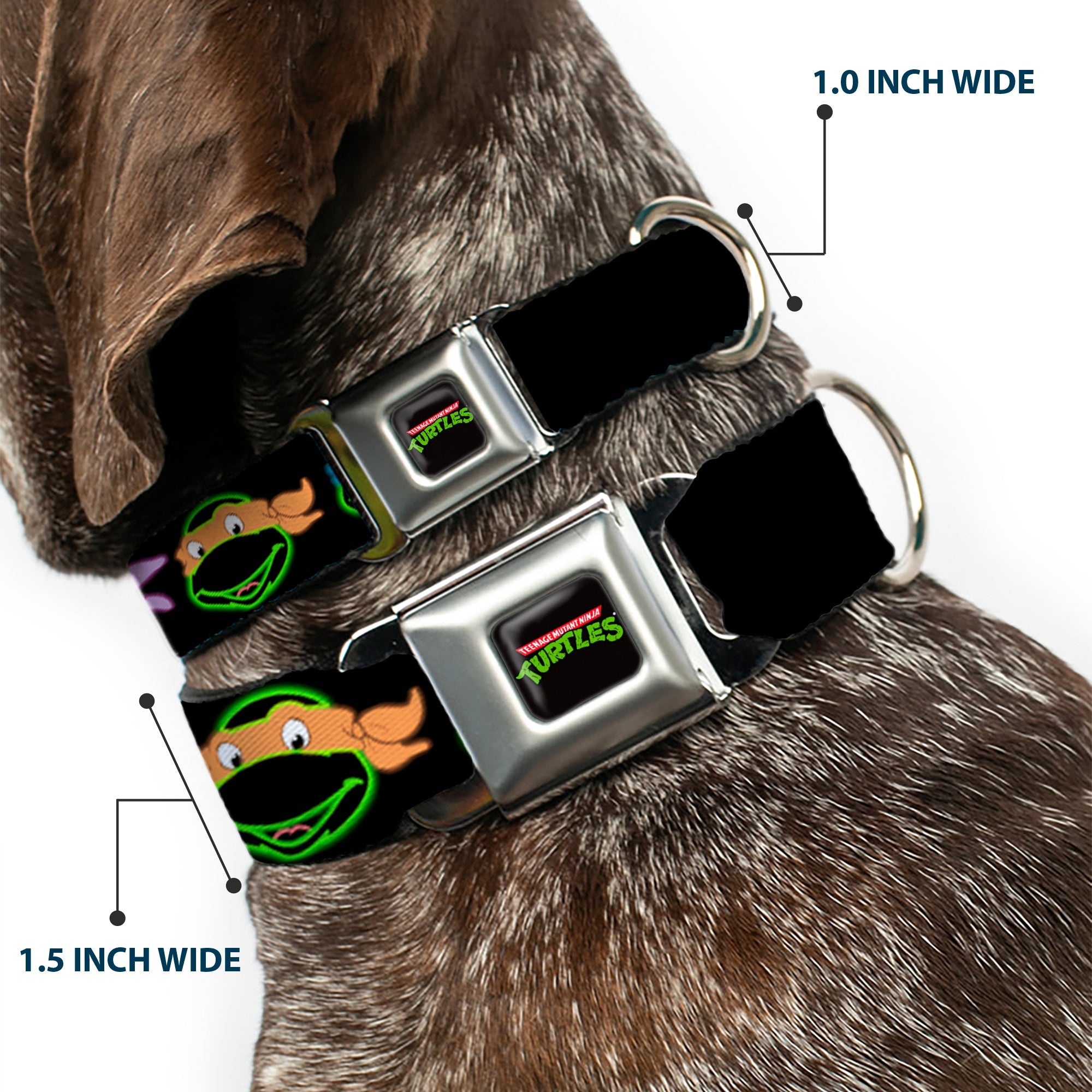 Classic TEENAGE MUTANT NINJA TURTLES Logo Seatbelt Buckle Collar - Classic Teenage Mutant Ninja Turtles Electric Expressions Black/Multi Neon