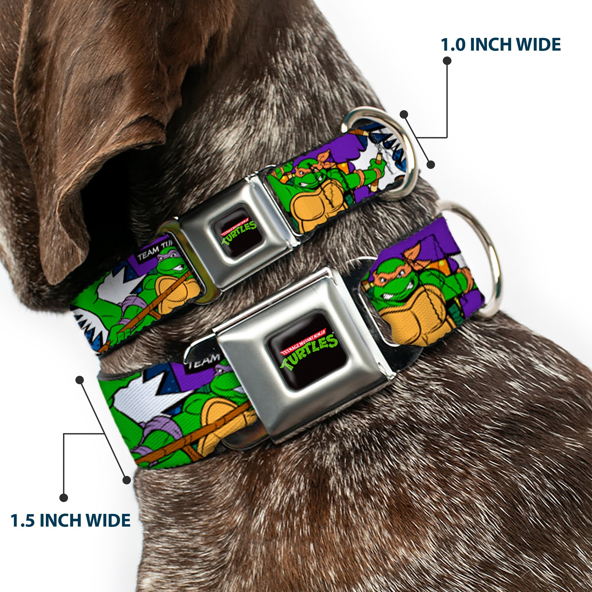 Classic TMNT Logo Seatbelt Buckle Collar - Classic Teenage Mutant Ninja Turtles Action Poses/TEAM TURTLES