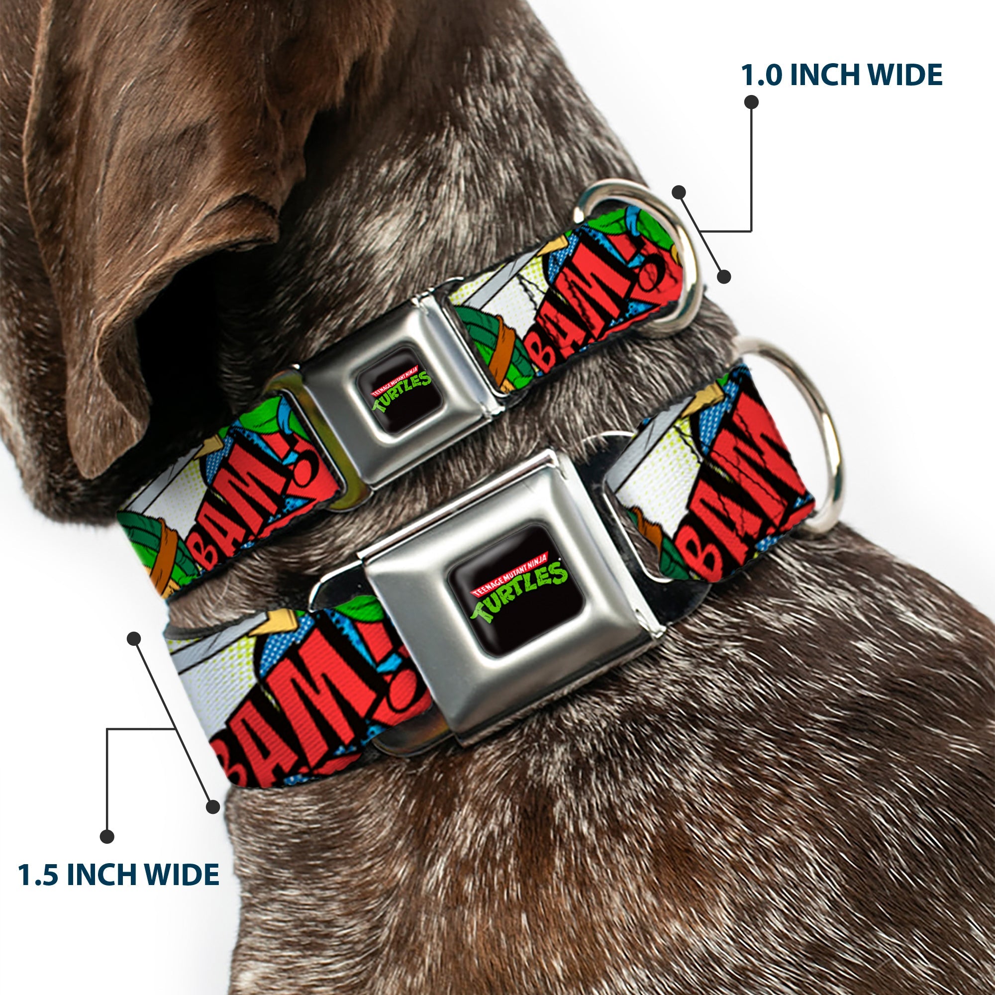 Classic TMNT Logo Full Color Seatbelt Buckle Collar - Classic Teenage Mutant Ninja Turtles Action Poses/Action Bubbles Dots Blues