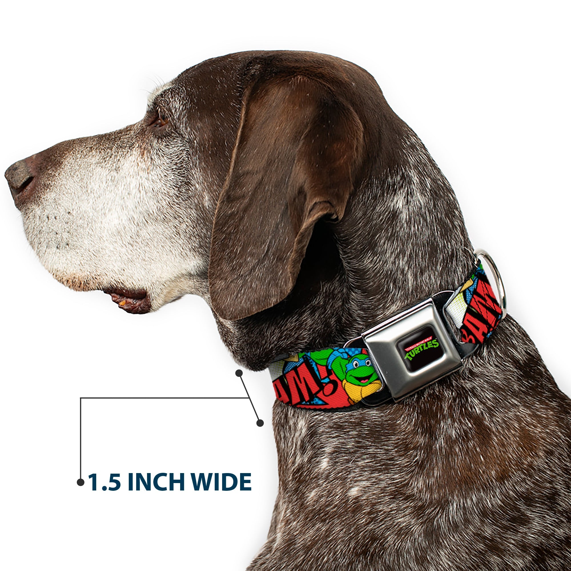 Classic TMNT Logo Full Color Seatbelt Buckle Collar - Classic Teenage Mutant Ninja Turtles Action Poses/Action Bubbles Dots Blues