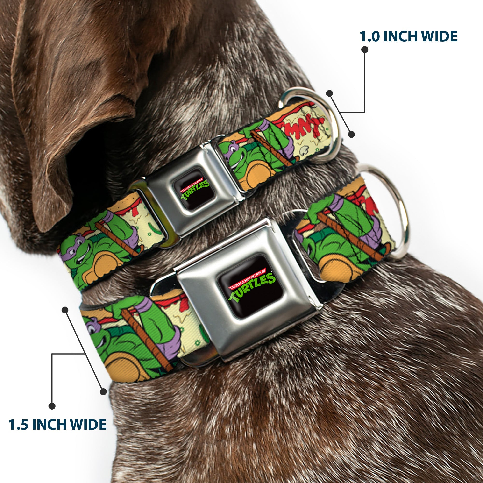 Classic TMNT Logo Seatbelt Buckle Collar - Classic TMNT Turtle Pizza