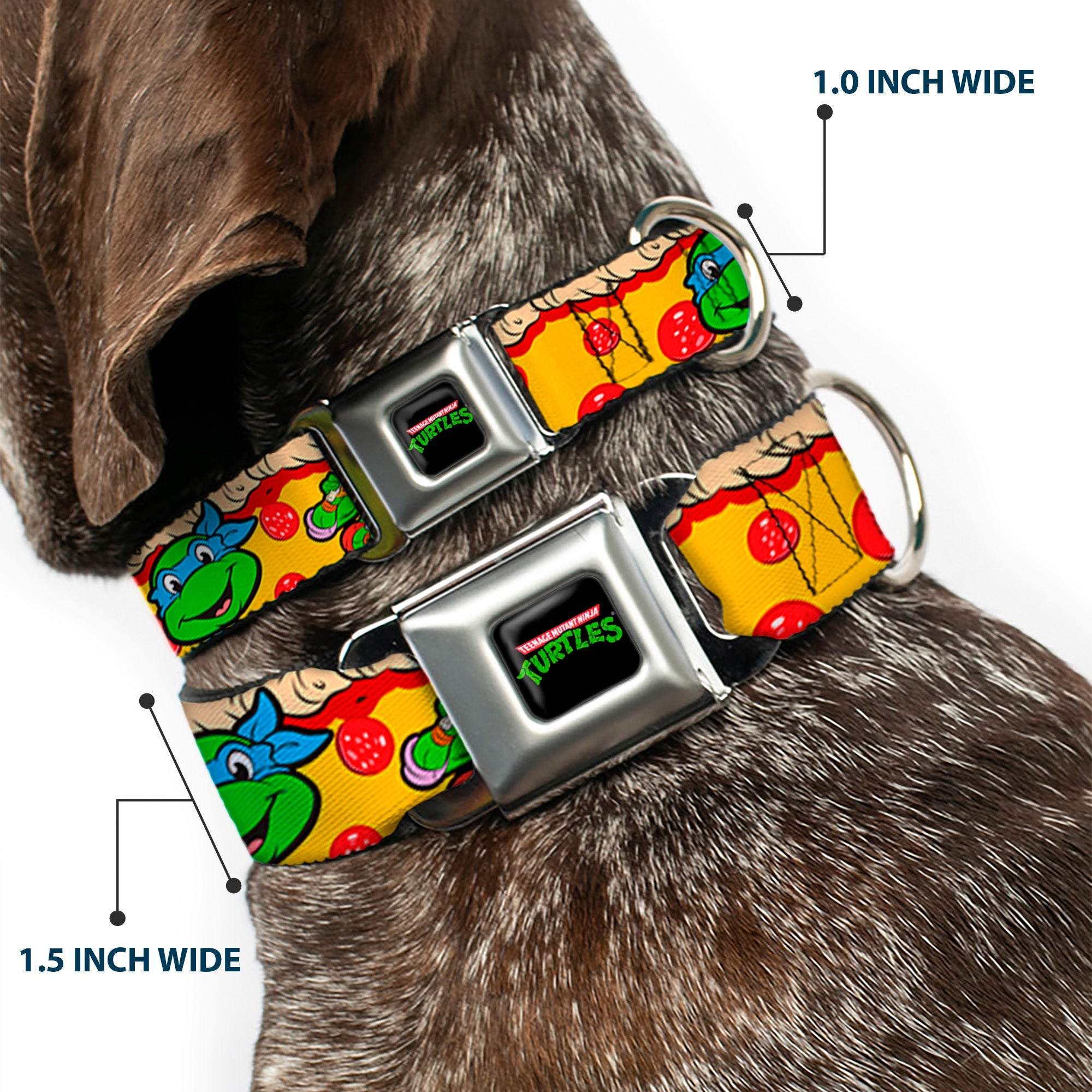 Classic TMNT Logo Seatbelt Buckle Collar - Classic Teenage Mutant Ninja Turtles 4-Turtle Faces Pepperoni Pizza/Turtles Pose16