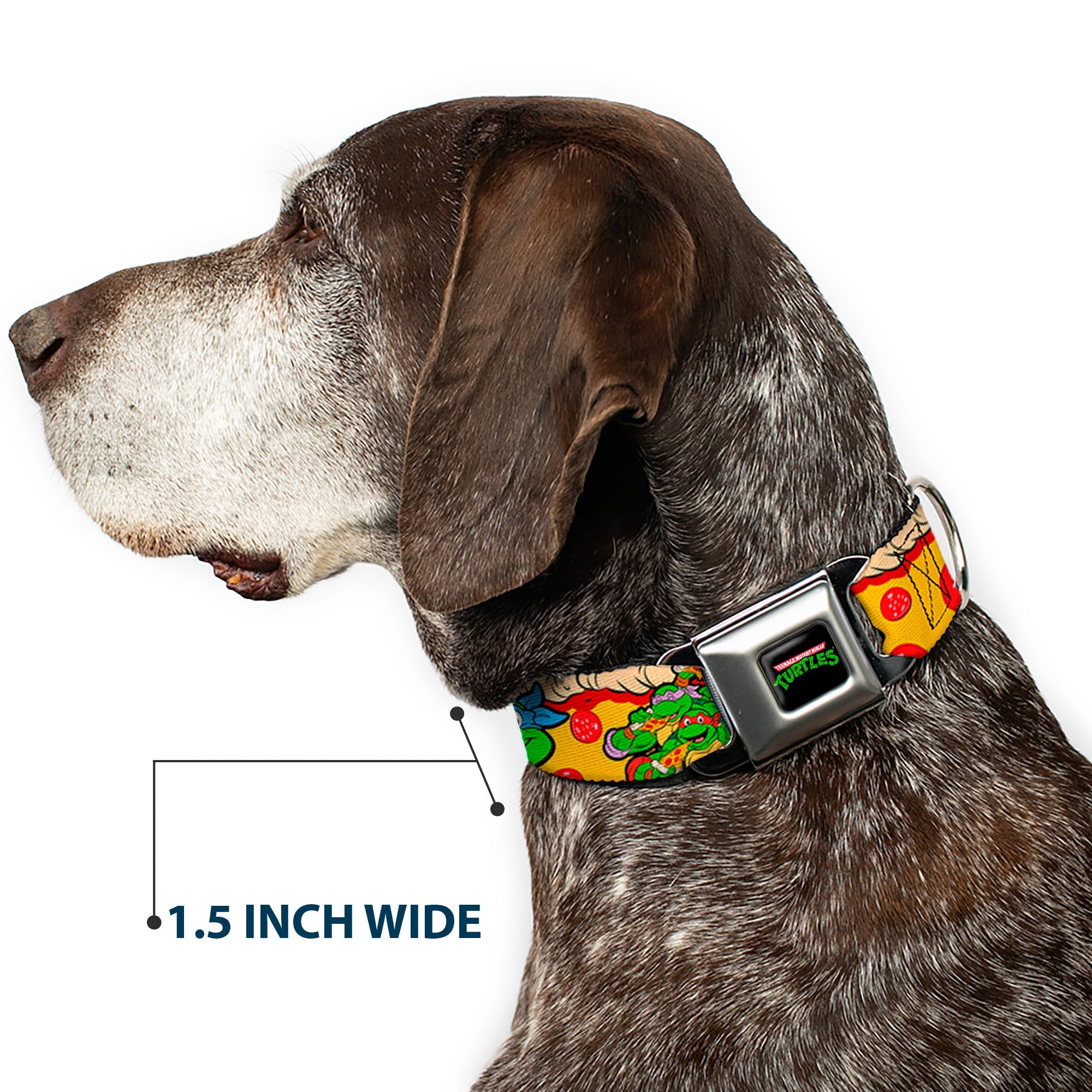 Classic TMNT Logo Seatbelt Buckle Collar - Classic Teenage Mutant Ninja Turtles 4-Turtle Faces Pepperoni Pizza/Turtles Pose16