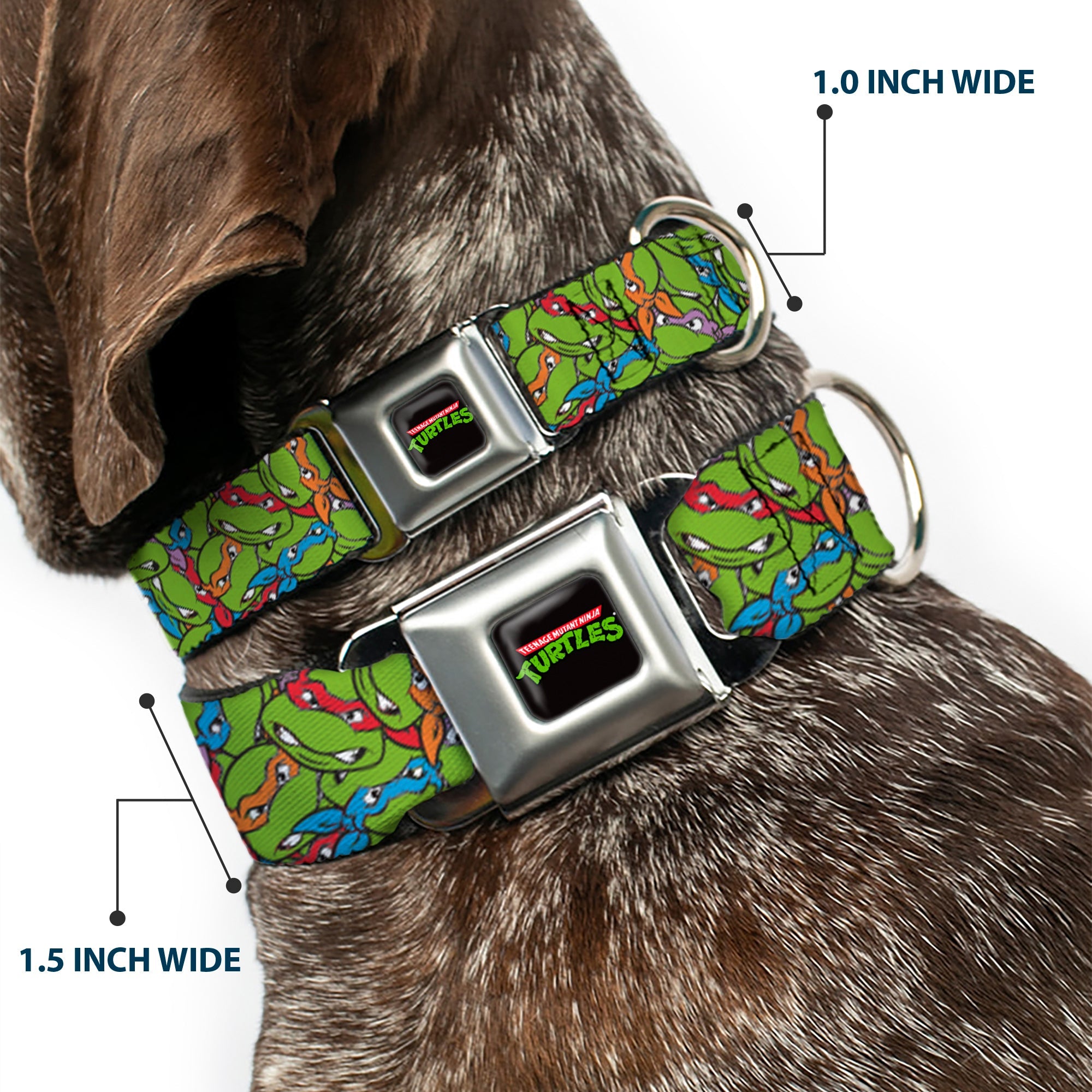 Classic TEENAGE MUTANT NINJA TURTLES Logo Seatbelt Buckle Collar - Teenage Mutant Ninja Turtles Faces Stacked Green/Multi Color