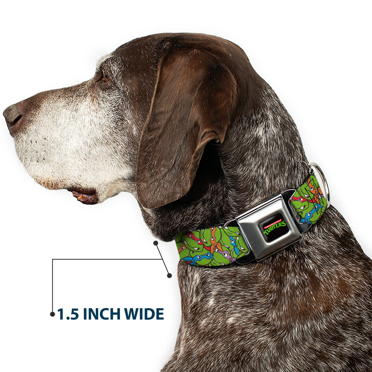 Classic TEENAGE MUTANT NINJA TURTLES Logo Seatbelt Buckle Collar - Teenage Mutant Ninja Turtles Faces Stacked Green/Multi Color