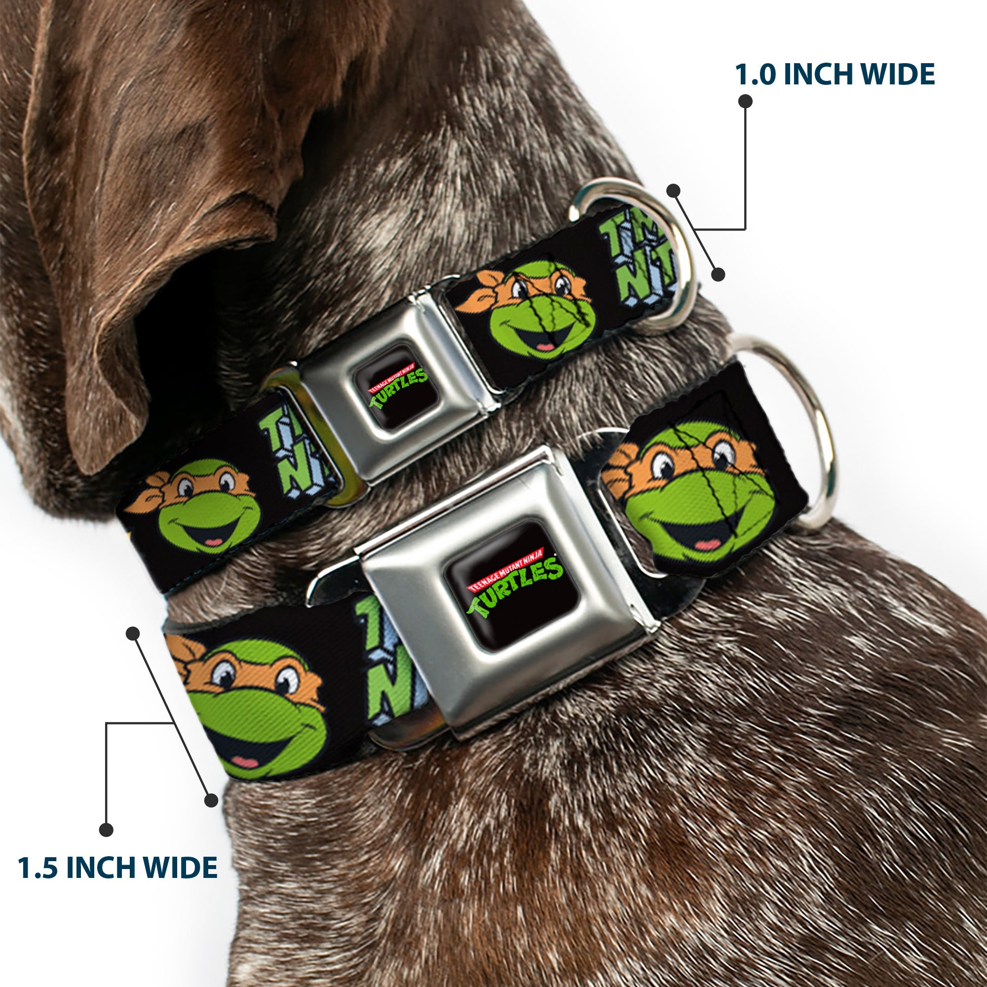 Classic TEENAGE MUTANT NINJA TURTLES Logo Seatbelt Buckle Collar - Teenage Mutant Ninja Turtles Faces and Icons Black/Multi Color