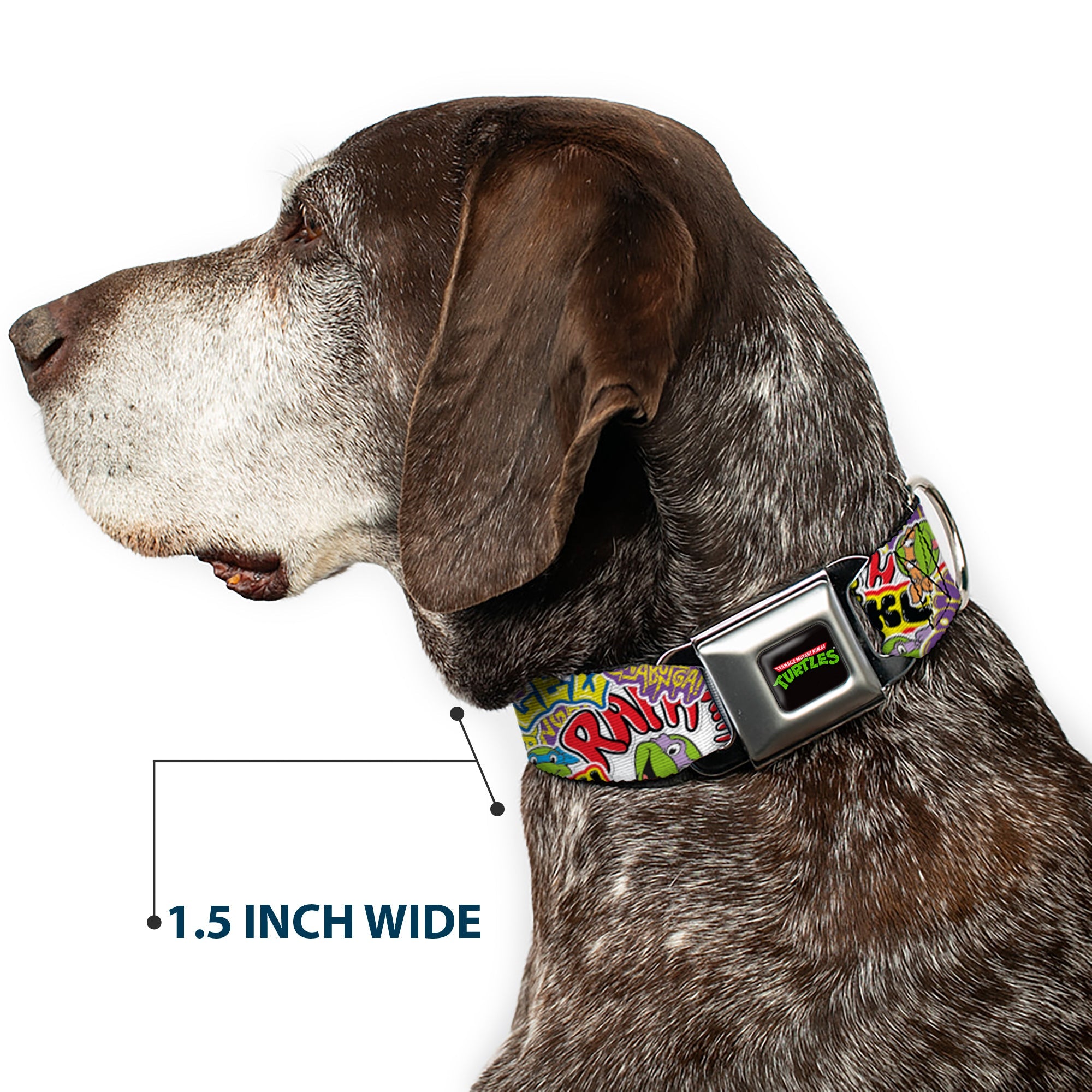 Classic TEENAGE MUTANT NINJA TURTLES Logo Seatbelt Buckle Collar - Teenage Mutant Ninja Turtles Sticker Slaps Collage White/Multi Color
