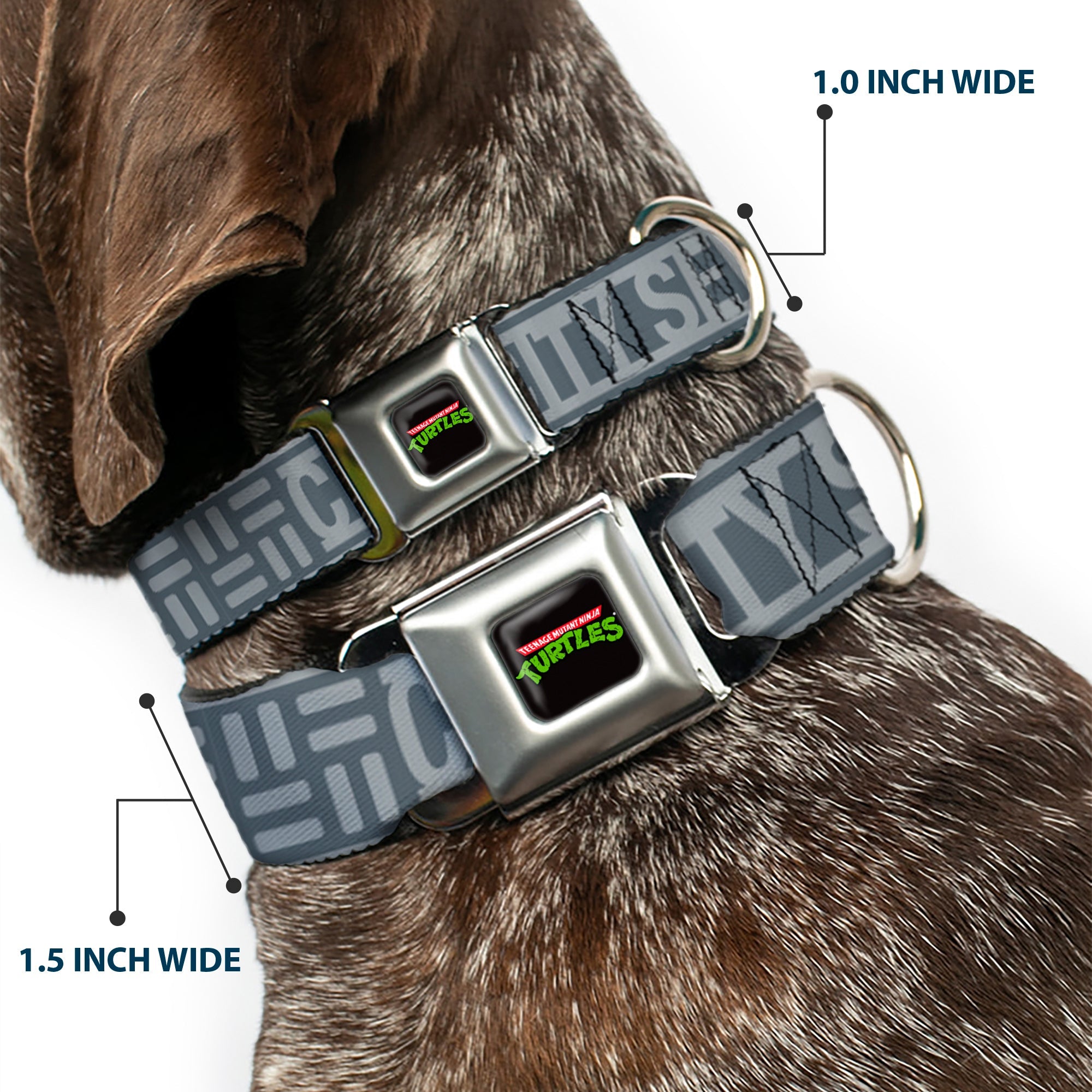 Classic TEENAGE MUTANT NINJA TURTLES Logo Seatbelt Buckle Collar - TEENAGE MUTANT NINJA TURTLES CITY SEWER Title Logo Grays
