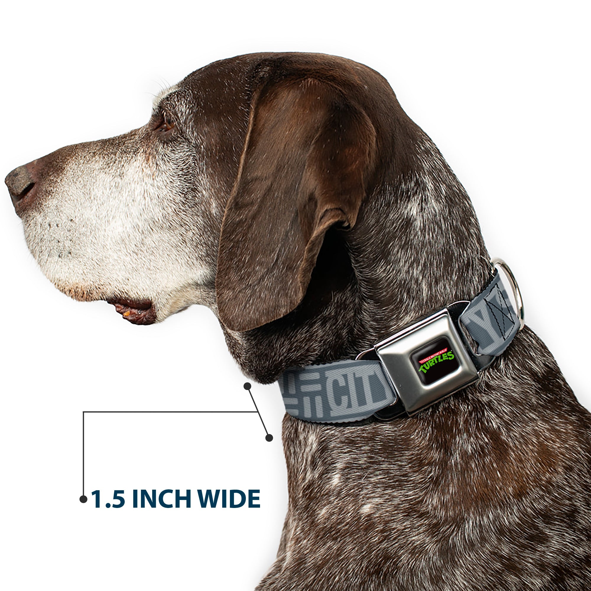 Classic TEENAGE MUTANT NINJA TURTLES Logo Seatbelt Buckle Collar - TEENAGE MUTANT NINJA TURTLES CITY SEWER Title Logo Grays