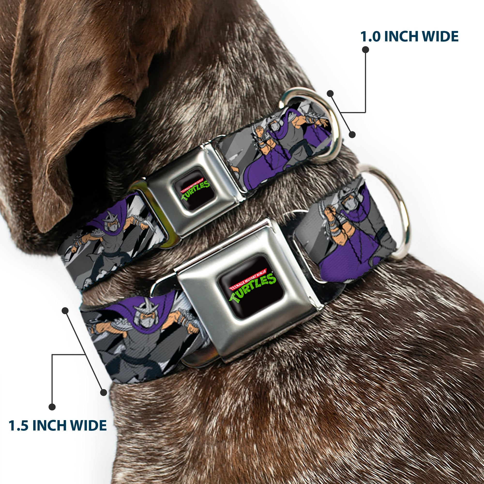 Classic TEENAGE MUTANT NINJA TURTLES Logo Seatbelt Buckle Collar - Teenage Mutant Ninja Turtles Shredder Action Poses Grays/Purple