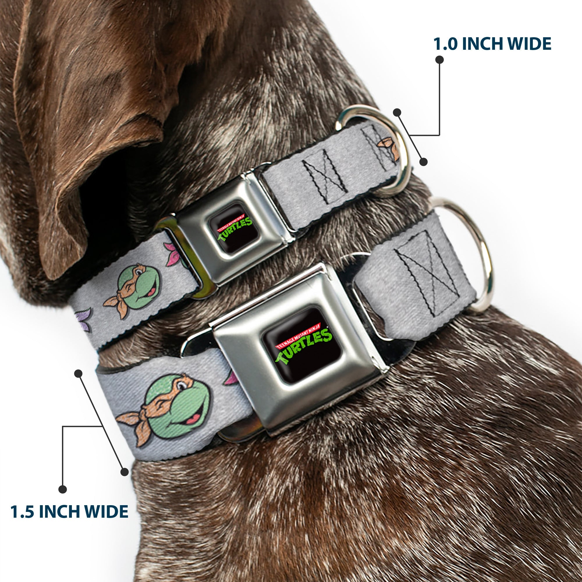 Classic TEENAGE MUTANT NINJA TURTLES Logo Seatbelt Buckle Collar - Teenage Mutant Ninja Turtles Expressions Gray