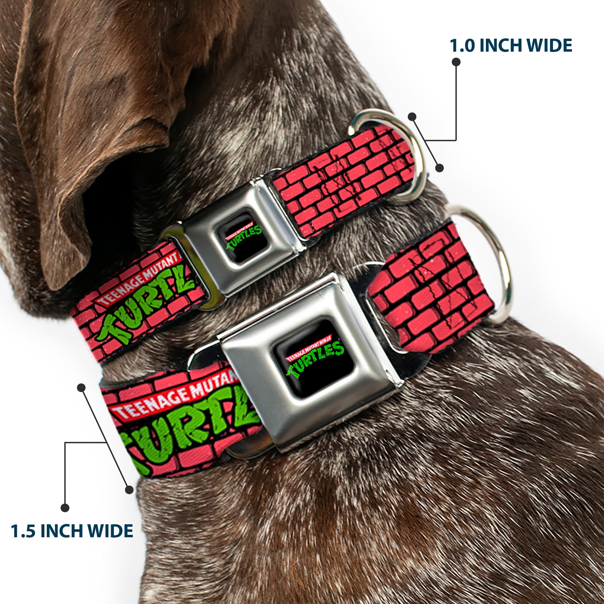 Classic TEENAGE MUTANT NINJA TURTLES Logo Seatbelt Buckle Collar - TEENAGE MUTANT NINJA TURTLES Brick Title Logo Red