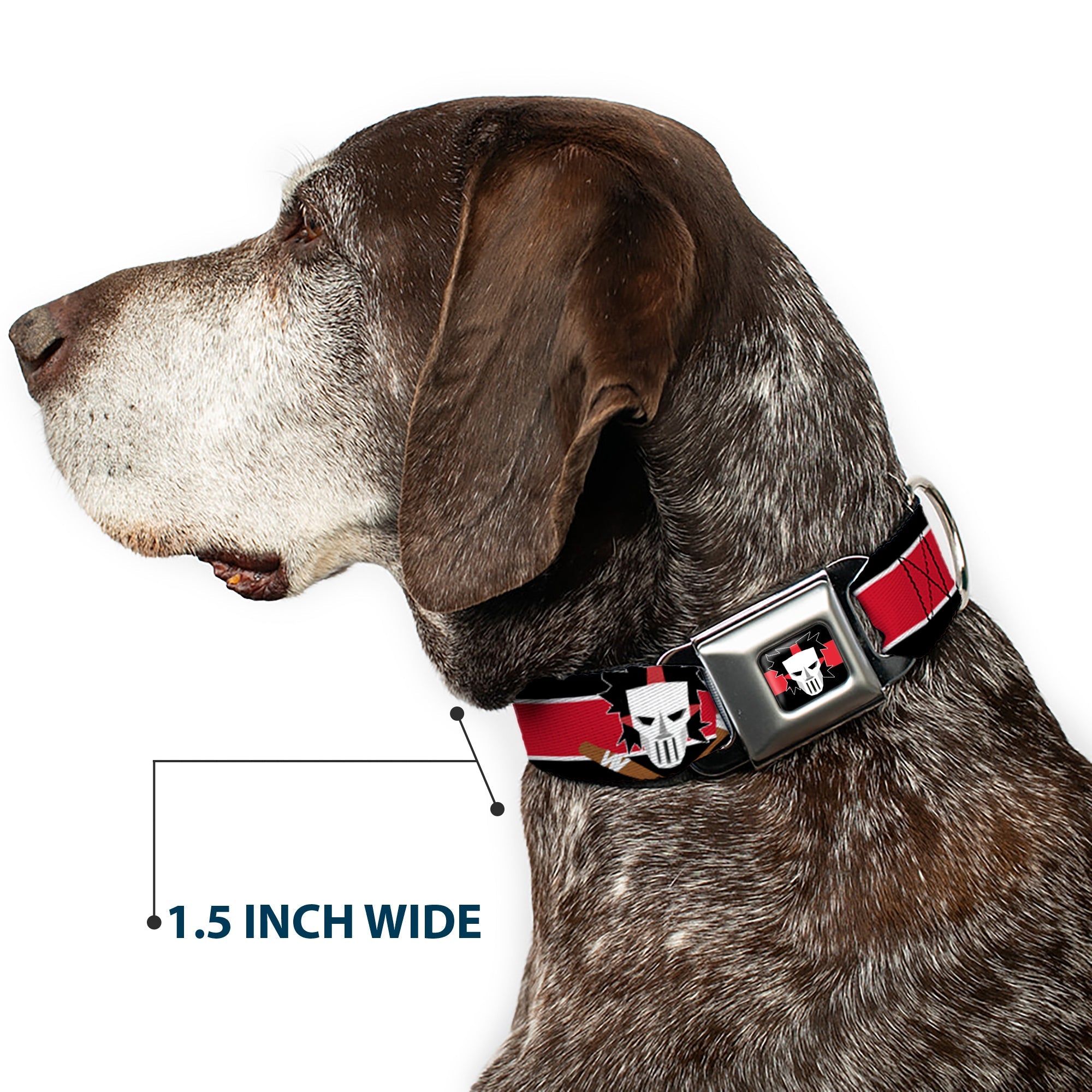 Casey Jones Head/Stripe Black/Red/White Seatbelt Buckle Collar - Casey Jones Baseball & Hockey Stick CLOSE-UP Stripe Black/White/Red